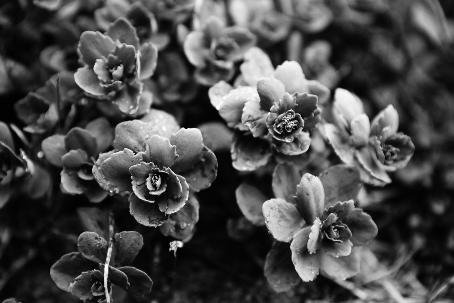 Amy Kristin Photography • Rhode Island Photographer
