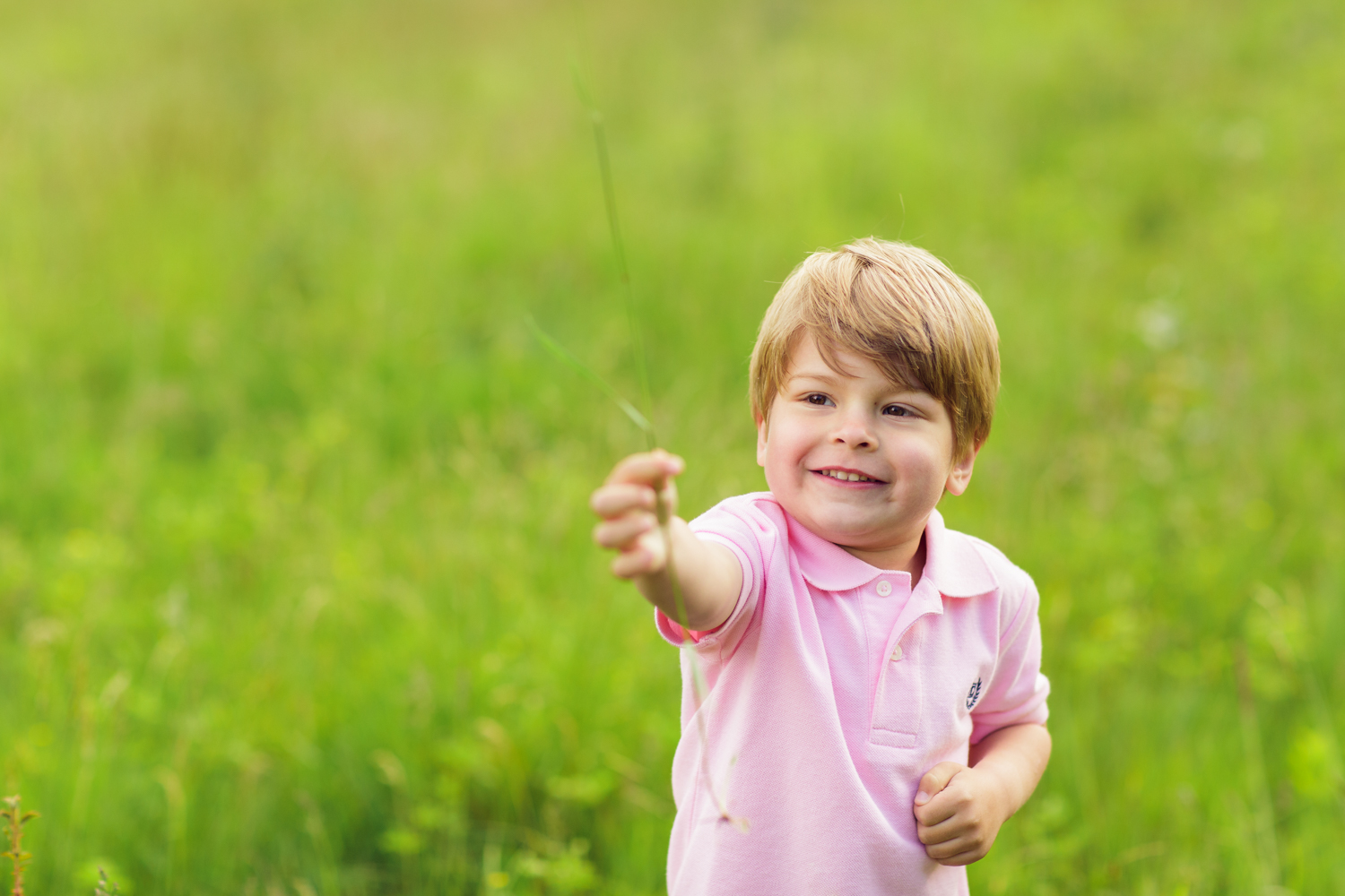 Amy Kristin Photography • Rhode Island Photographer