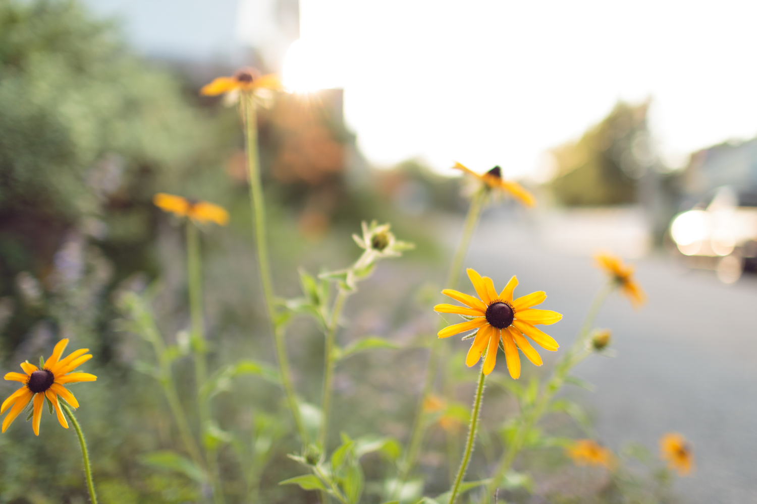 Amy Kristin Photography * Rhode Island Photographer