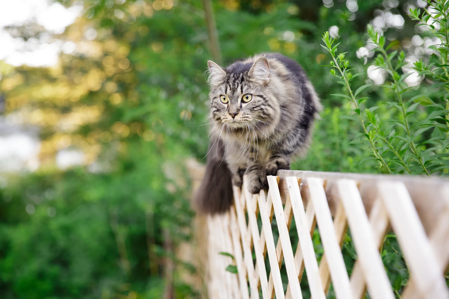 Amy Kristin Photography • Rhode Island family photographer