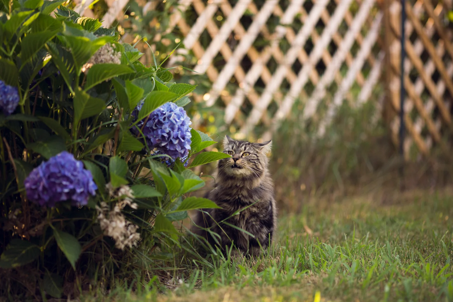 Amy Kristin Photography • Rhode Island family photographer