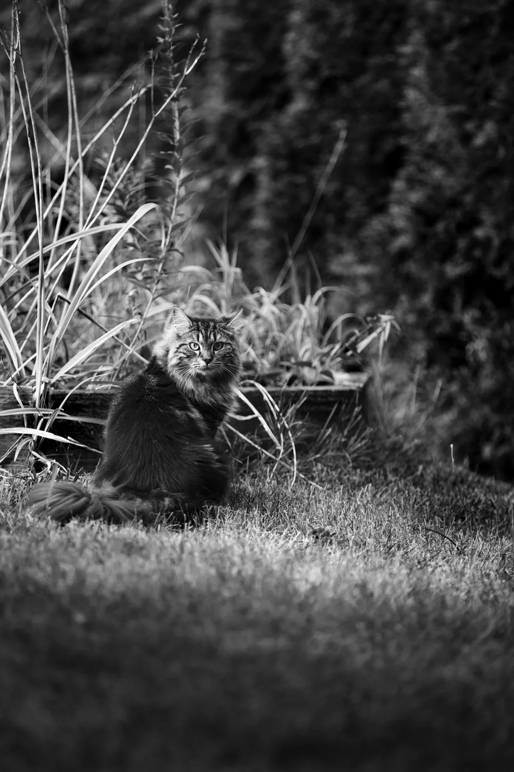 Amy Kristin Photography • Rhode Island family photographer