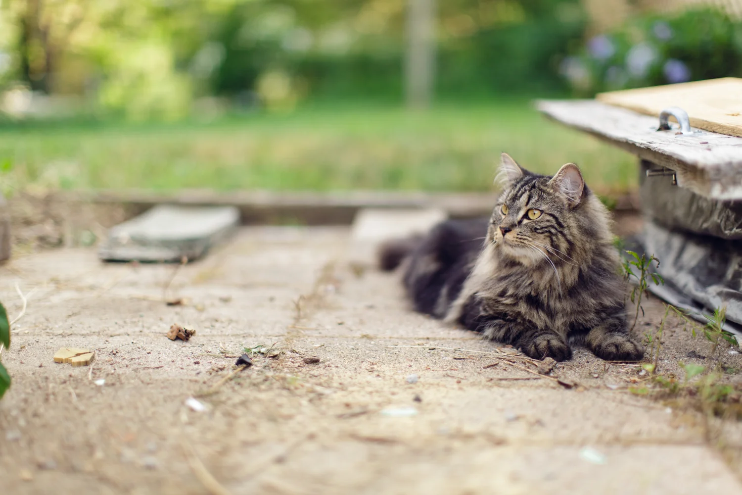 Amy Kristin Photography • Rhode Island family photographer