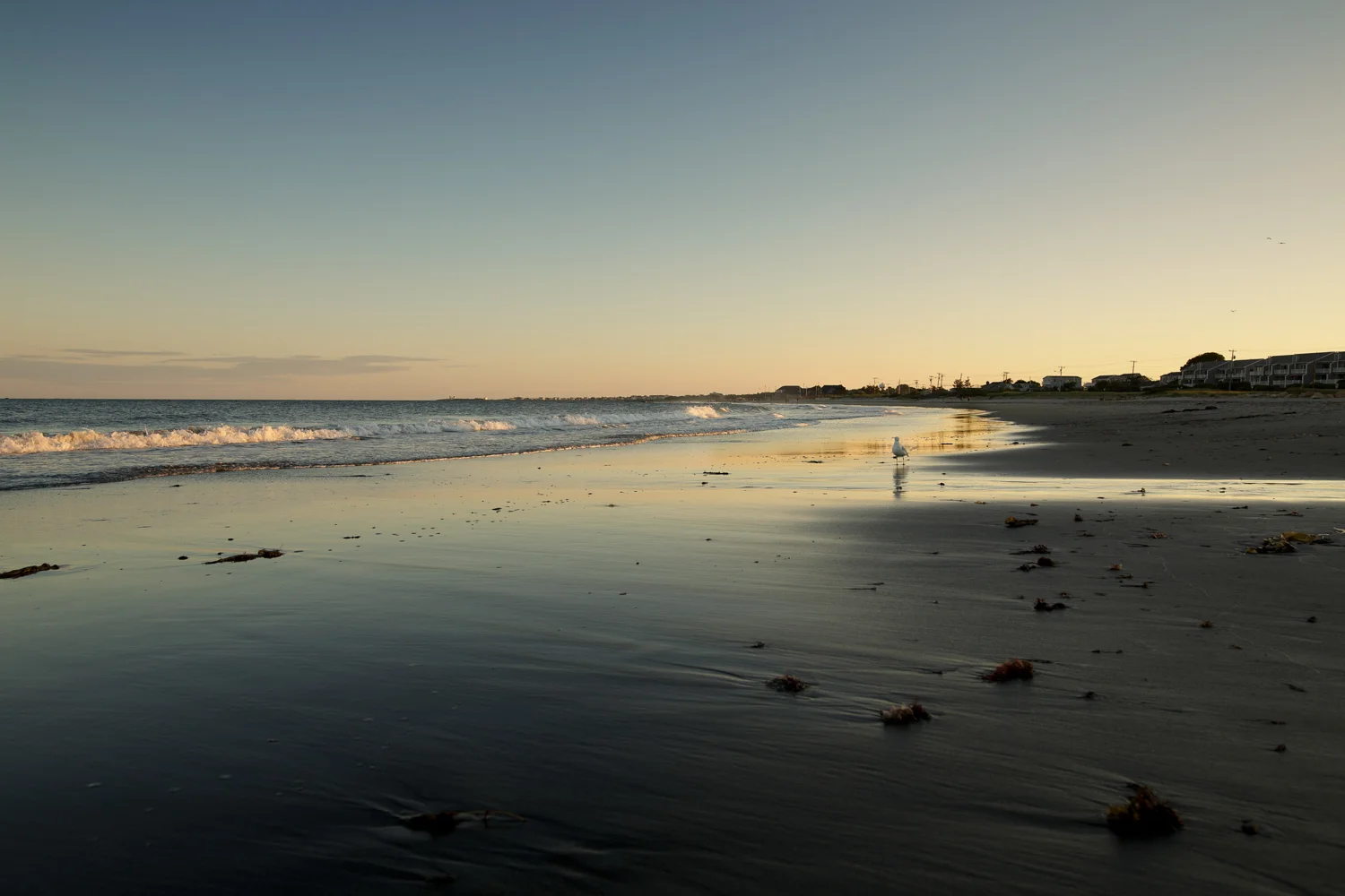 Amy Kristin Photography • Rhode Island family photographer