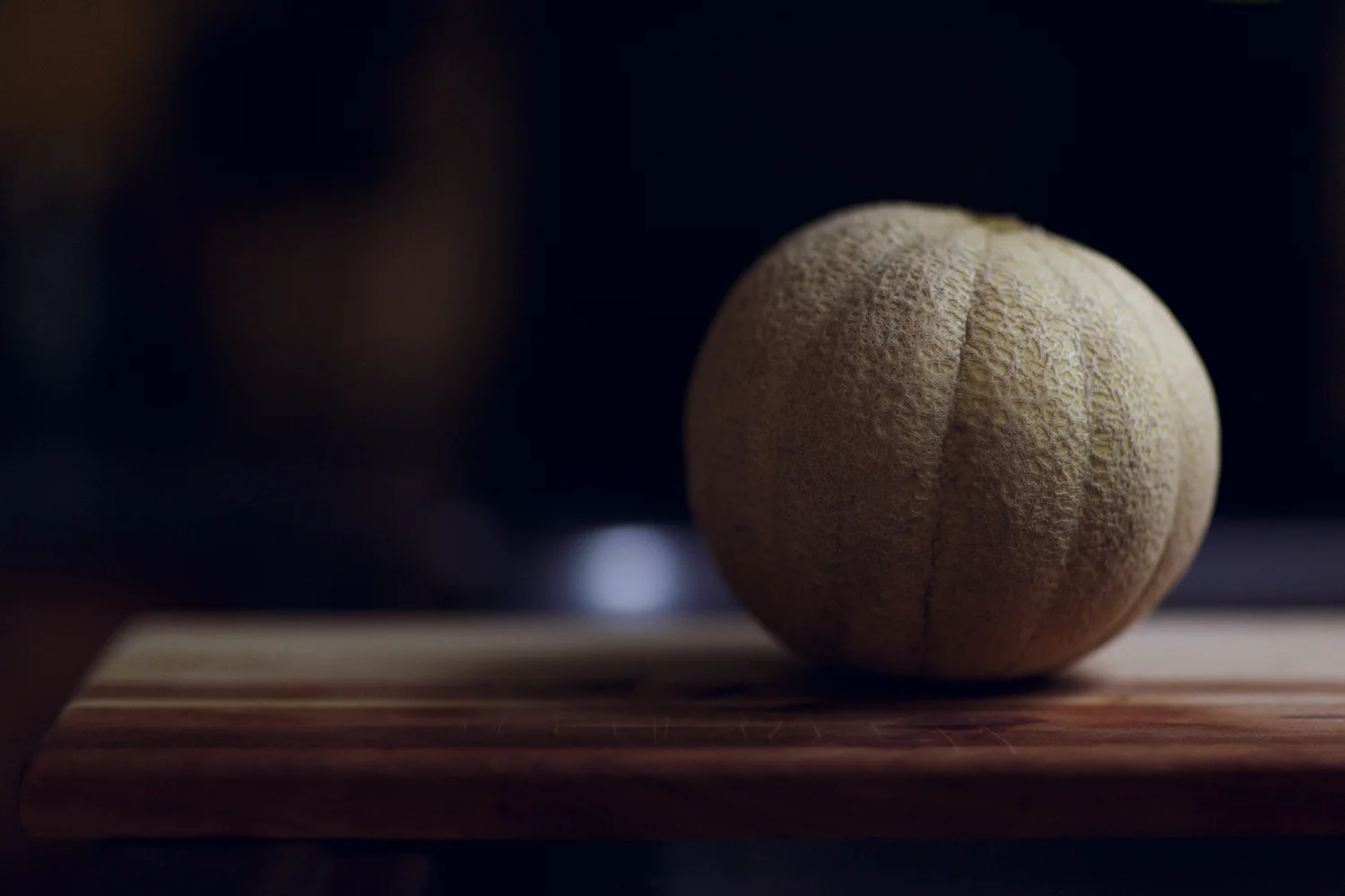 Amy Kristin Photography • Rhode Island family photographer