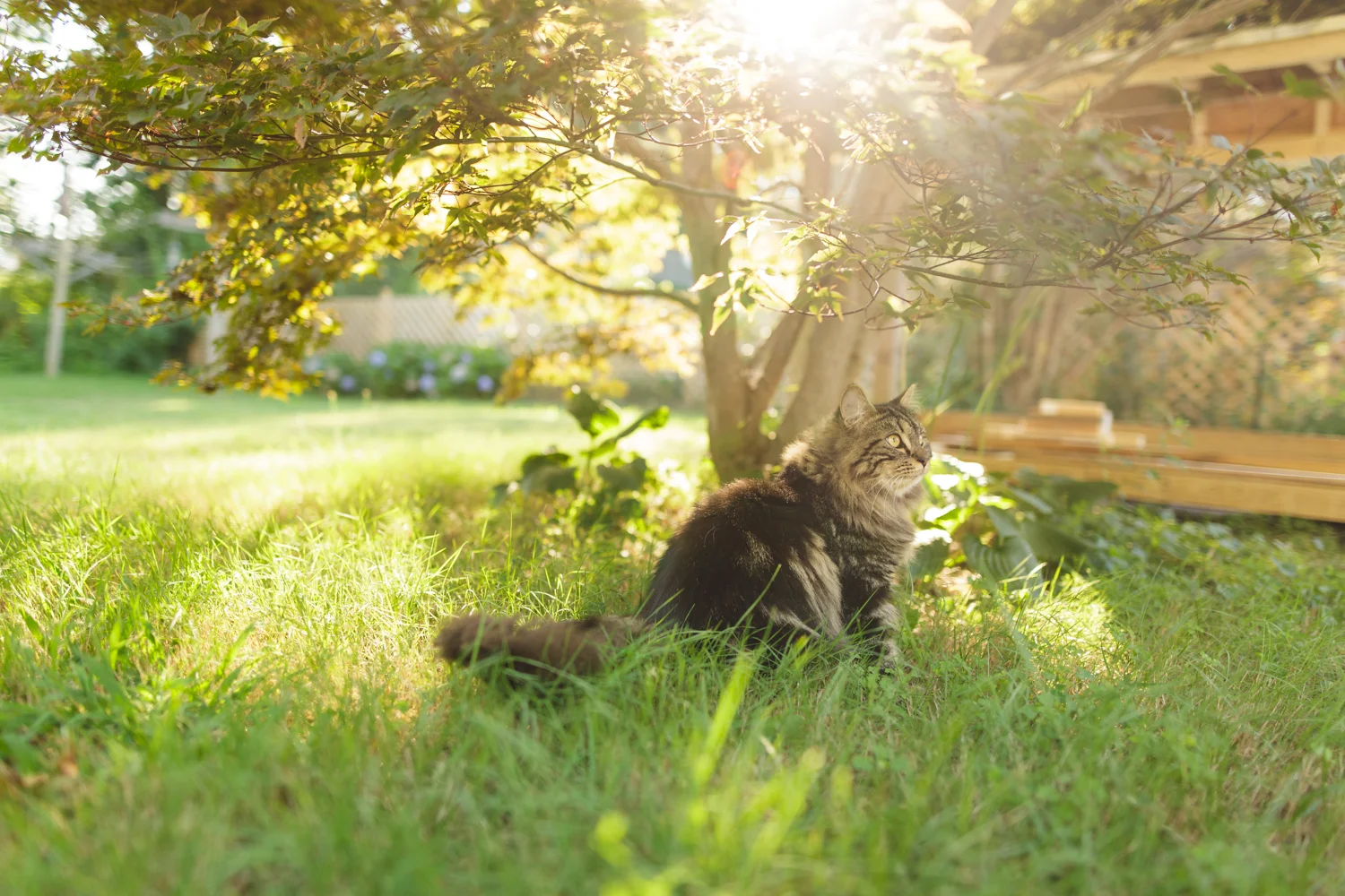 Amy Kristin Photography • Rhode Island family photographer