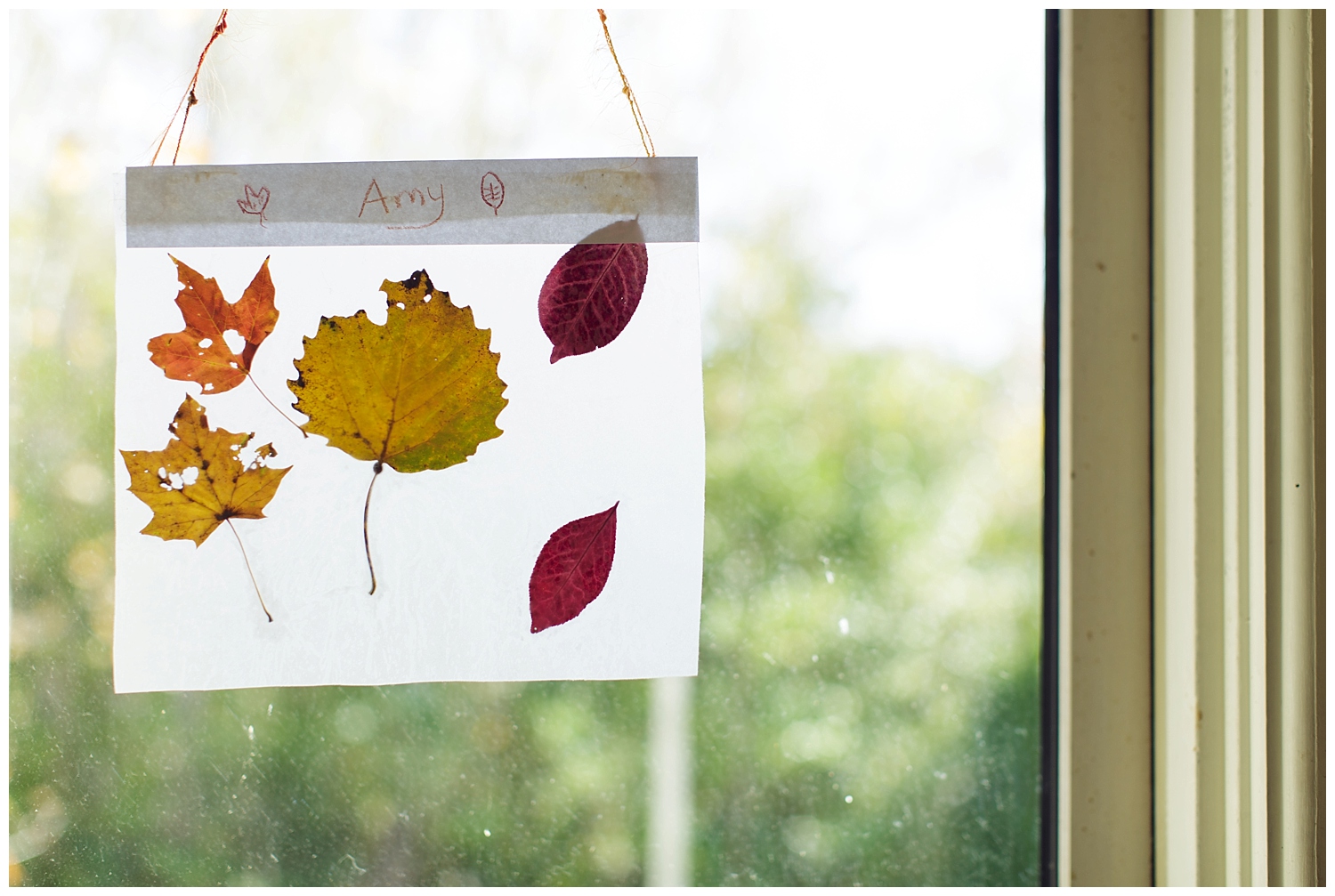 Amy Kristin Photography Rhode Island Family Photographer