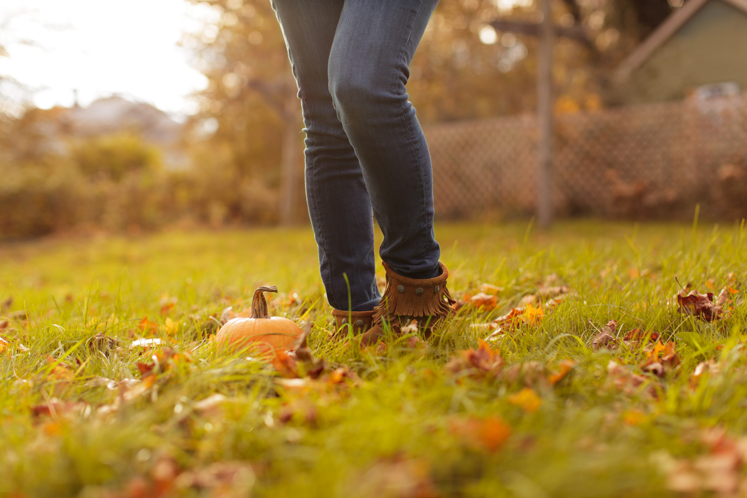 Amy Kristin Photography • Rhode Island Family Photographer