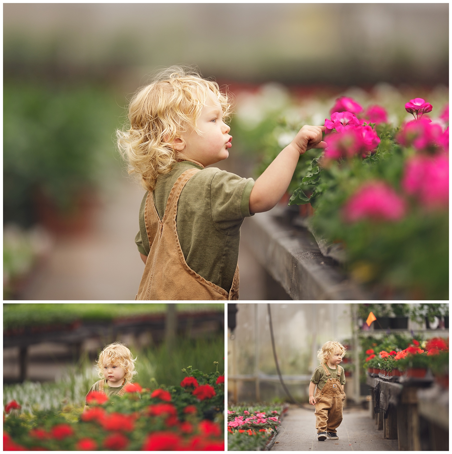 Amy Kristin Photography Southern RI Family photographer