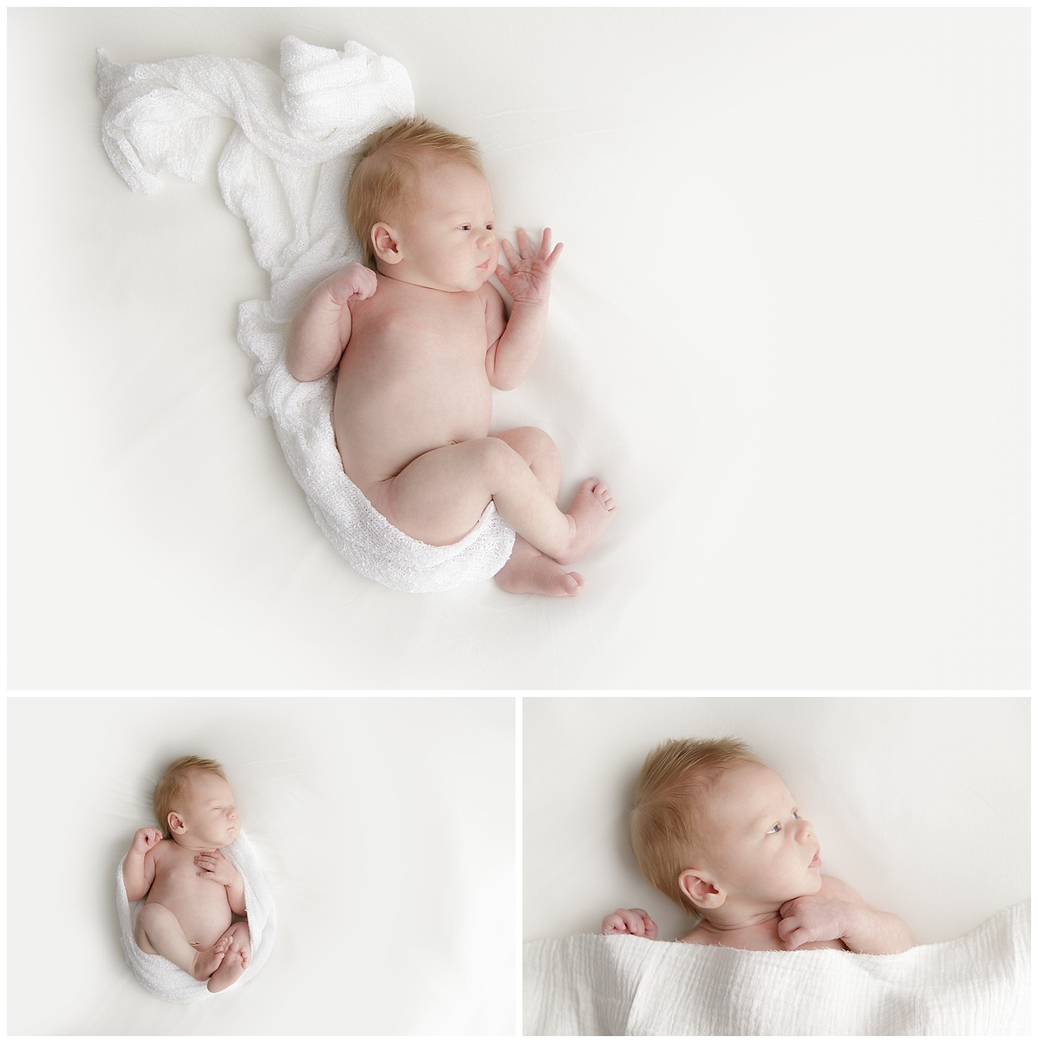 RI newborn photographer • Amy Kristin Photography • www.amykristin.com