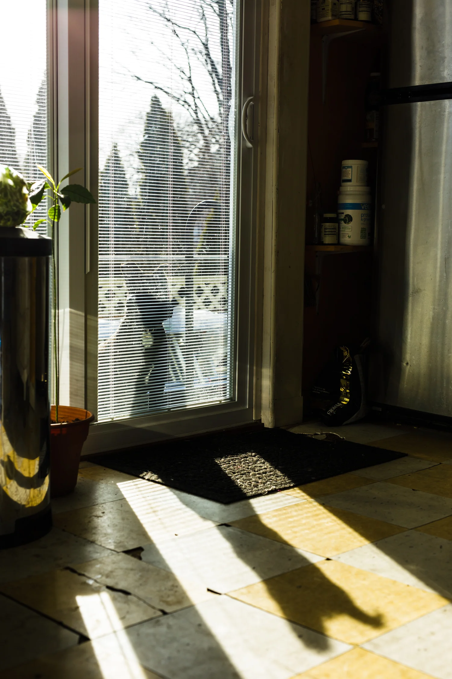 dog at sliding glass door