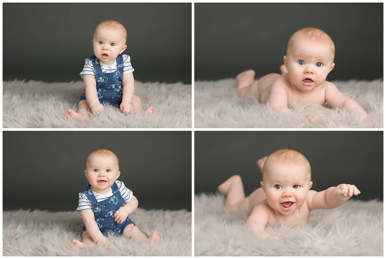 photos of a six month old in a photography studio