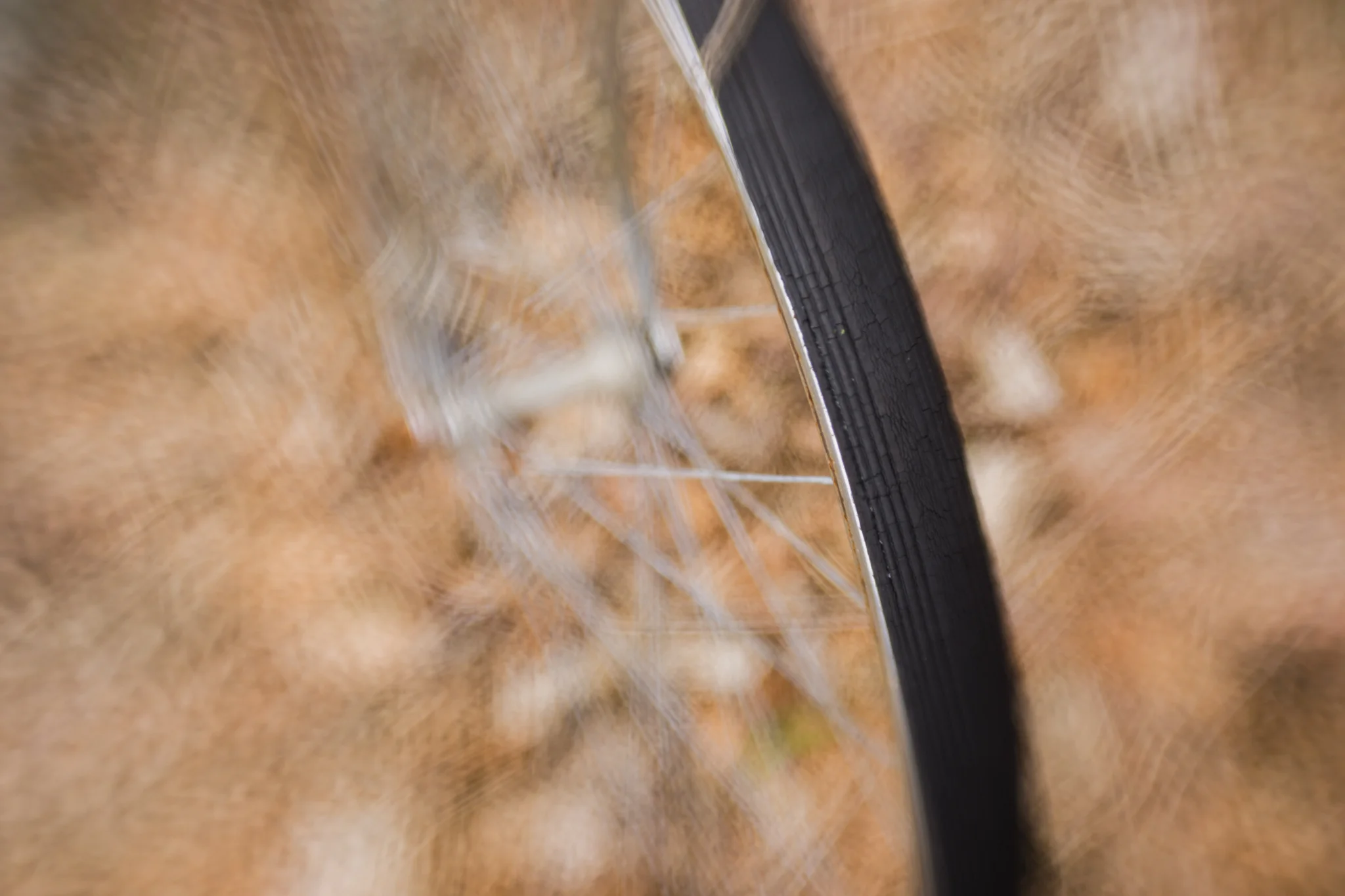 bicycle tire in backyard in Wakefield, RI