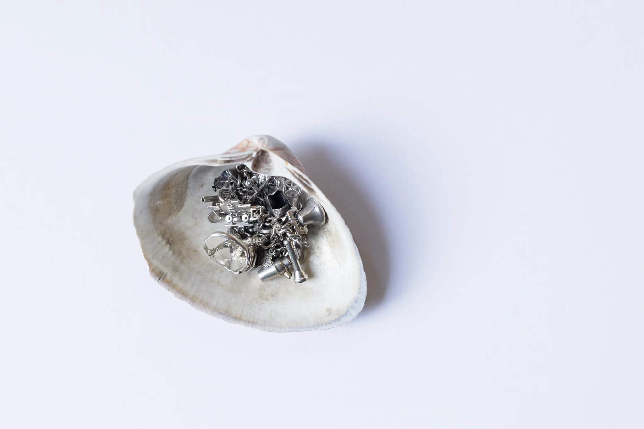 bracelet and ring in a quahog shell