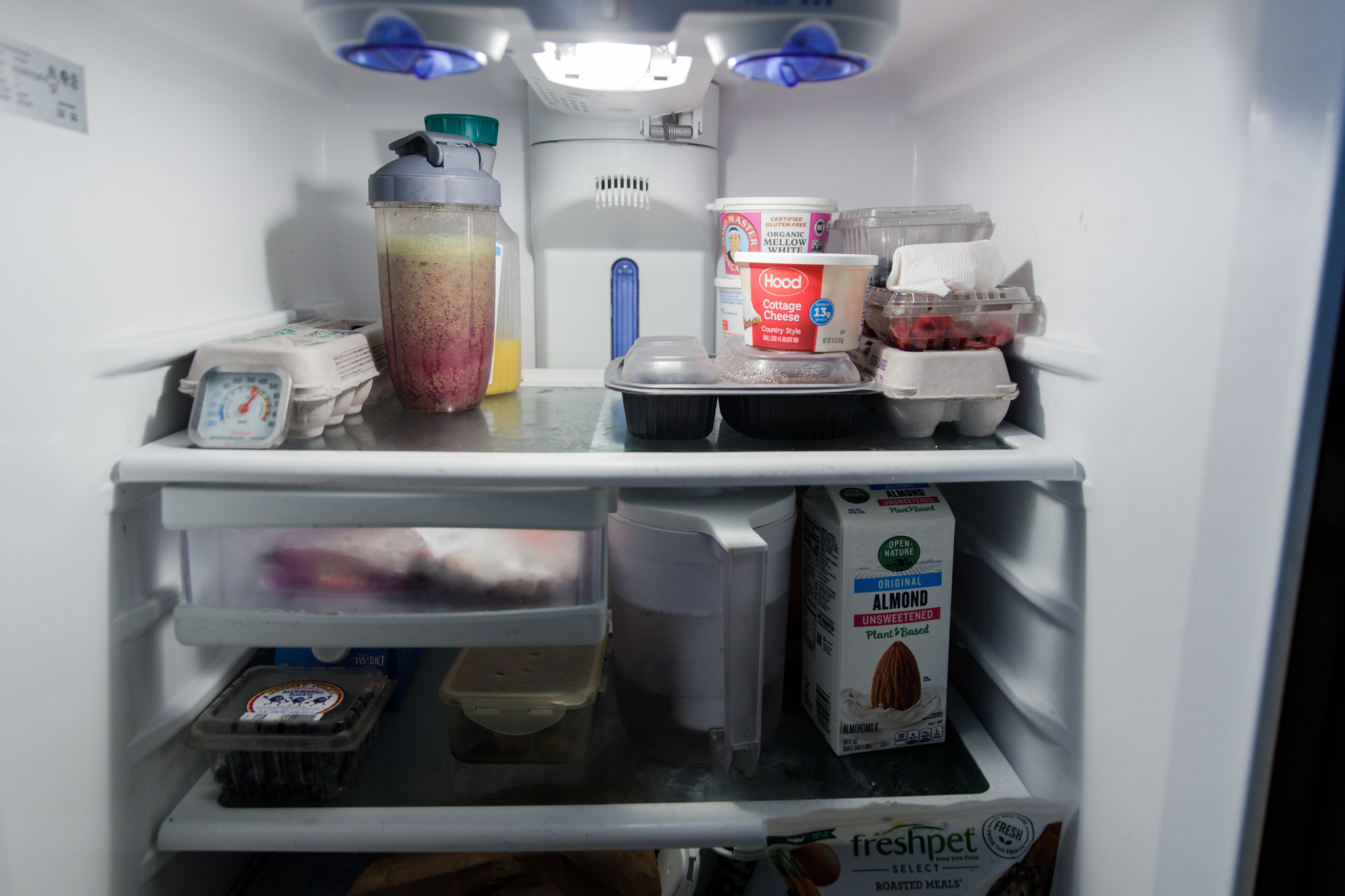 view inside a refrigerator