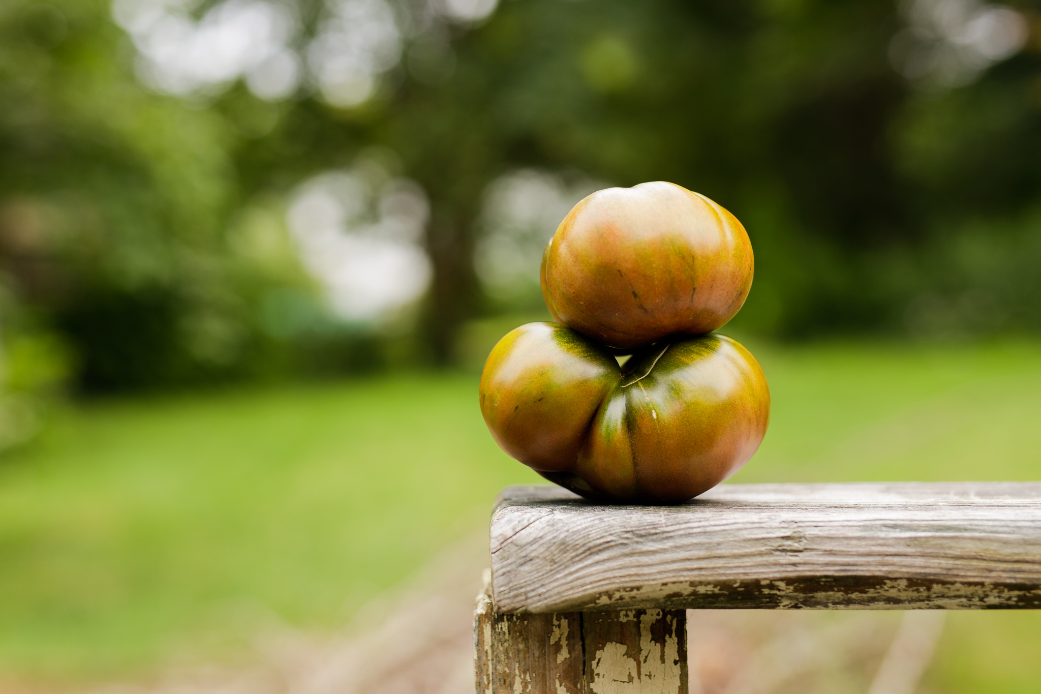 two tomatoes on a deck railing in Wakefield, RI
