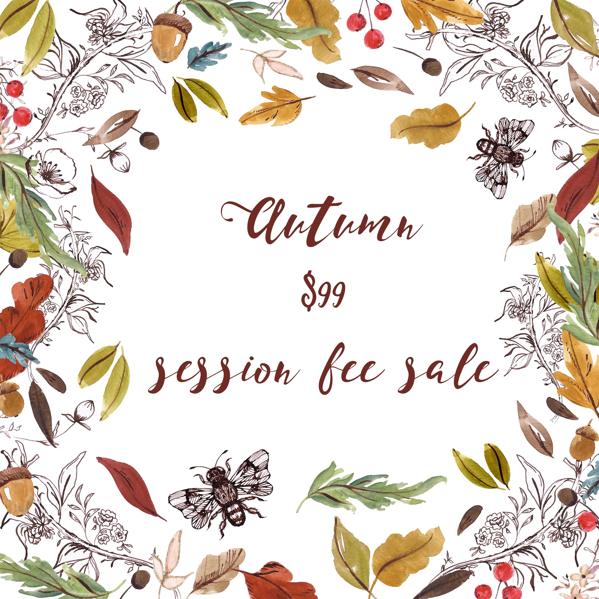 autumn-session-fee-sale.jpg