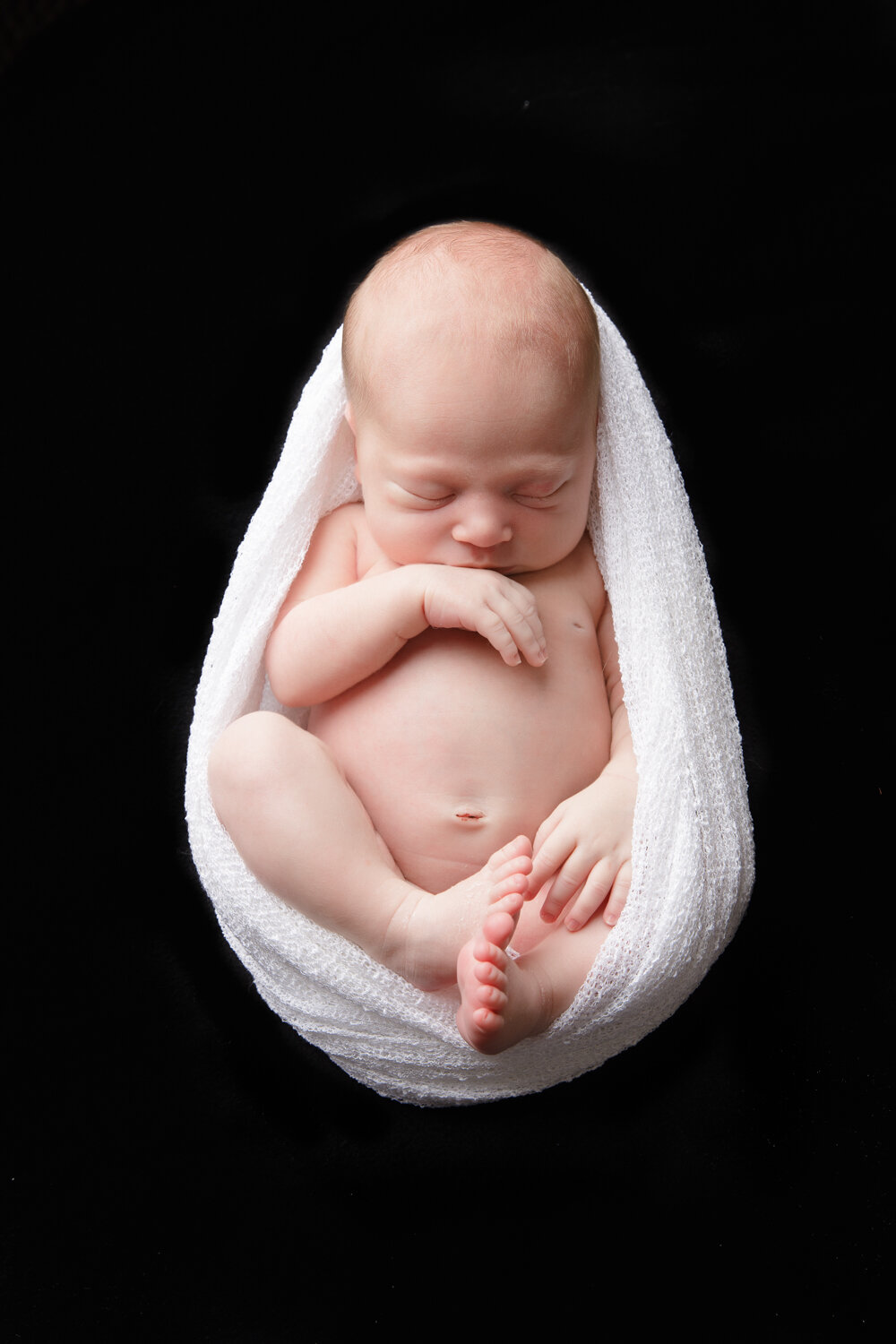RI newborn photographer-7.jpg