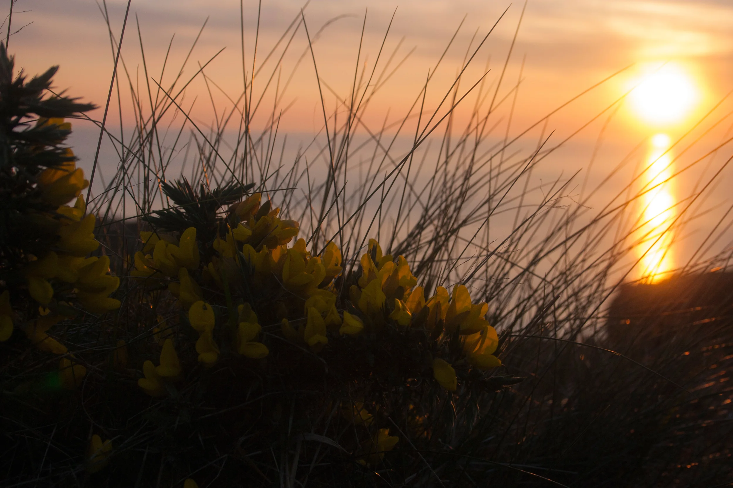 julierado-niarbyl-1.jpg