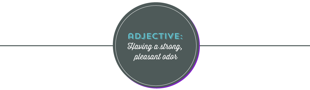 julierado-redolent-definition.png