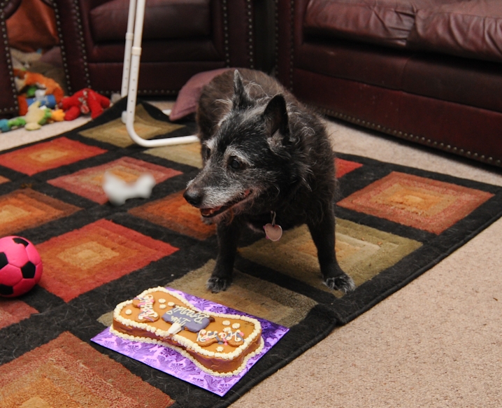 BRANDI-BDAY-7.jpg