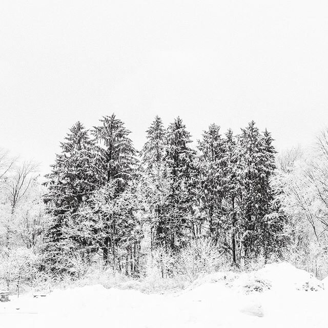 Being around lots of snow reminded me of The Lion, the Witch, and the Wardrobe when Lucy enters Narnia and says, &ldquo;This must be a simply enormous wardrobe!&rdquo; so much to explore and enjoy and photograph from our trip to NY ❄️