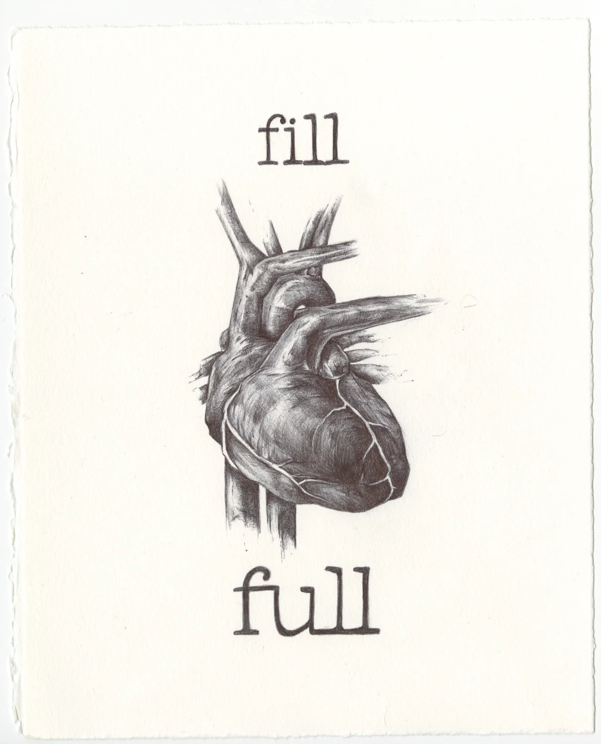 heartfill.jpg