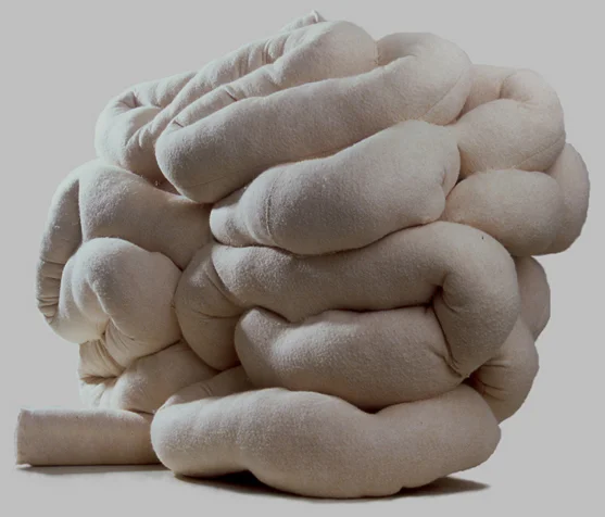 "Small Intestine, Large"
