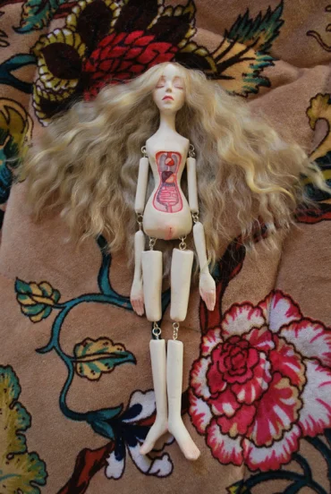 "Little Anatomy Doll"