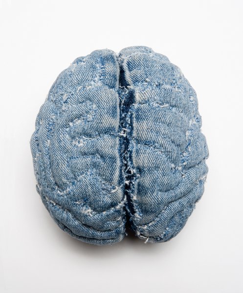 "Cerebral Cortex"