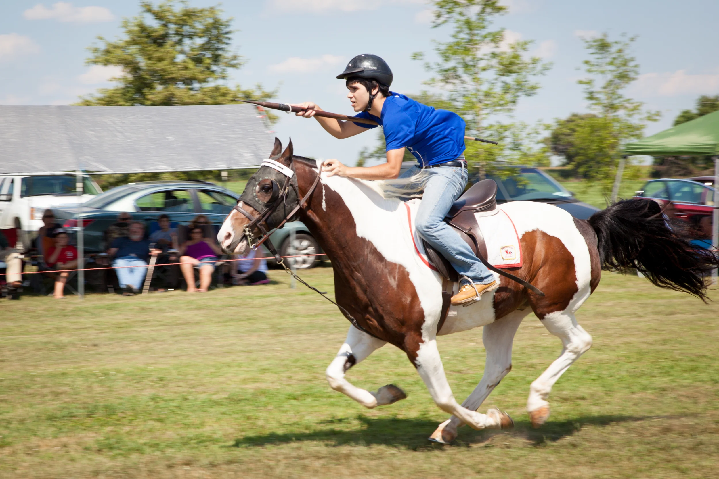 Maryland State Sport: Jousting