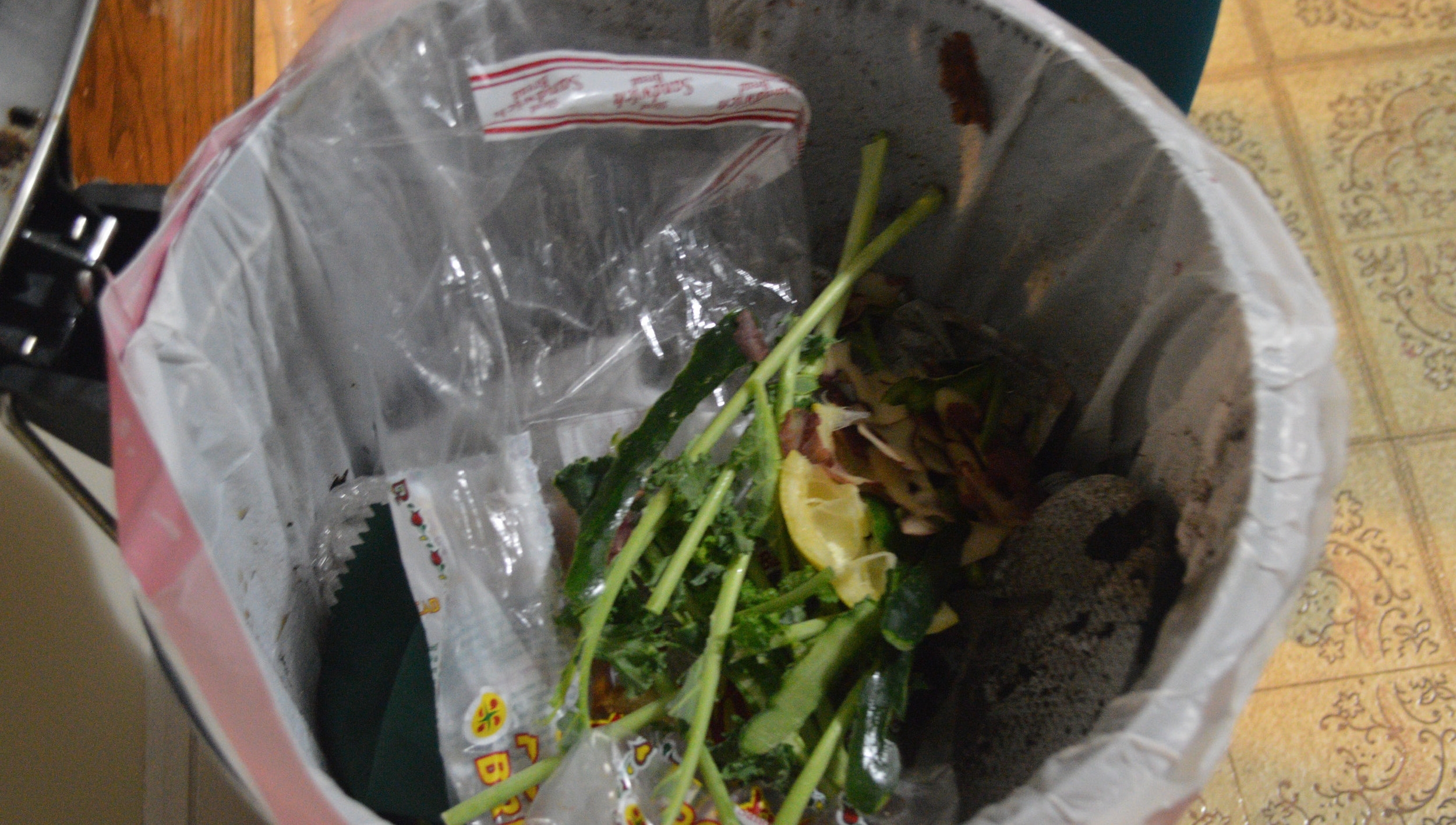 KITCHEN 2: This kitchen had no way of managing organic waste and the waste was put in with the regular garbage.