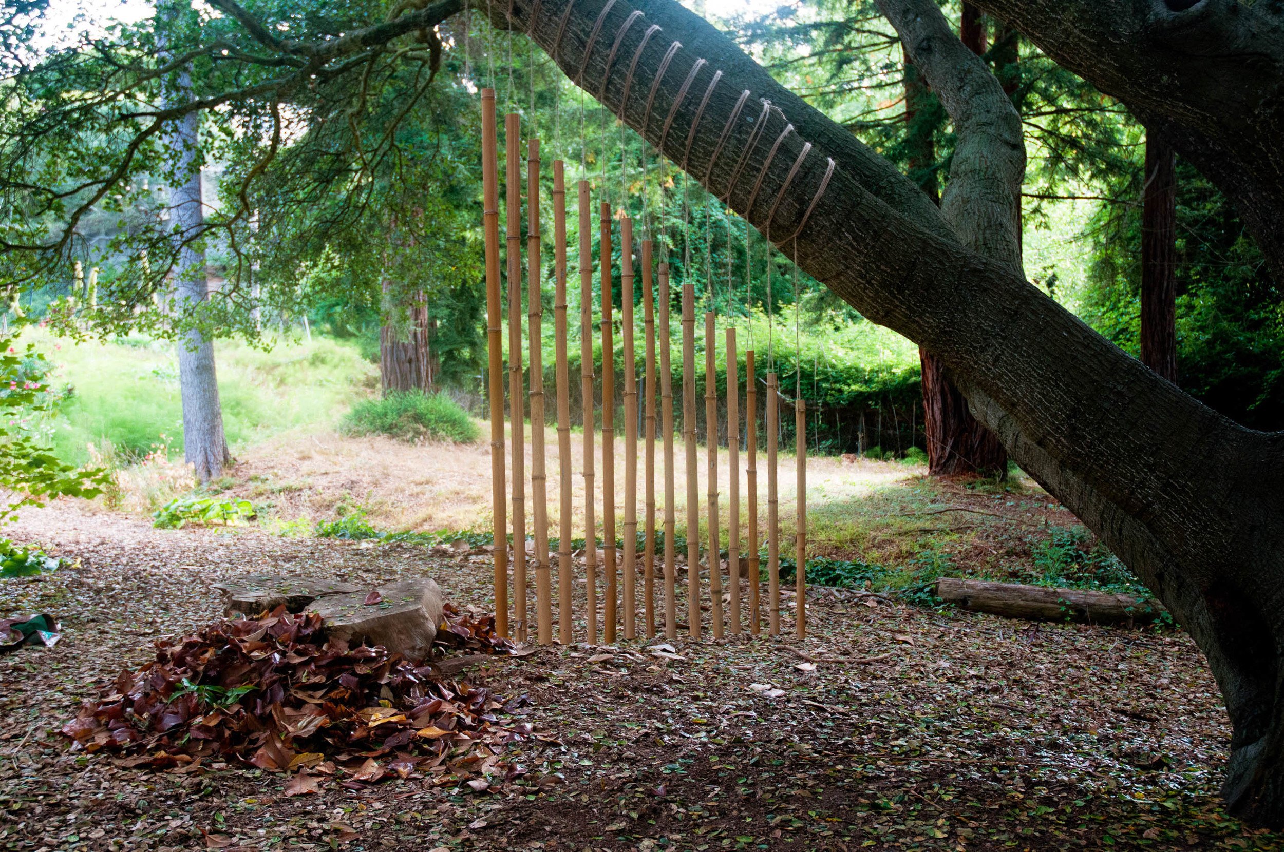 The Bangs

Bamboo Wind & Sound Installation
Summer 2015
Collaboration with Allison Ong

Blake Gardens
Berkeley, CA

