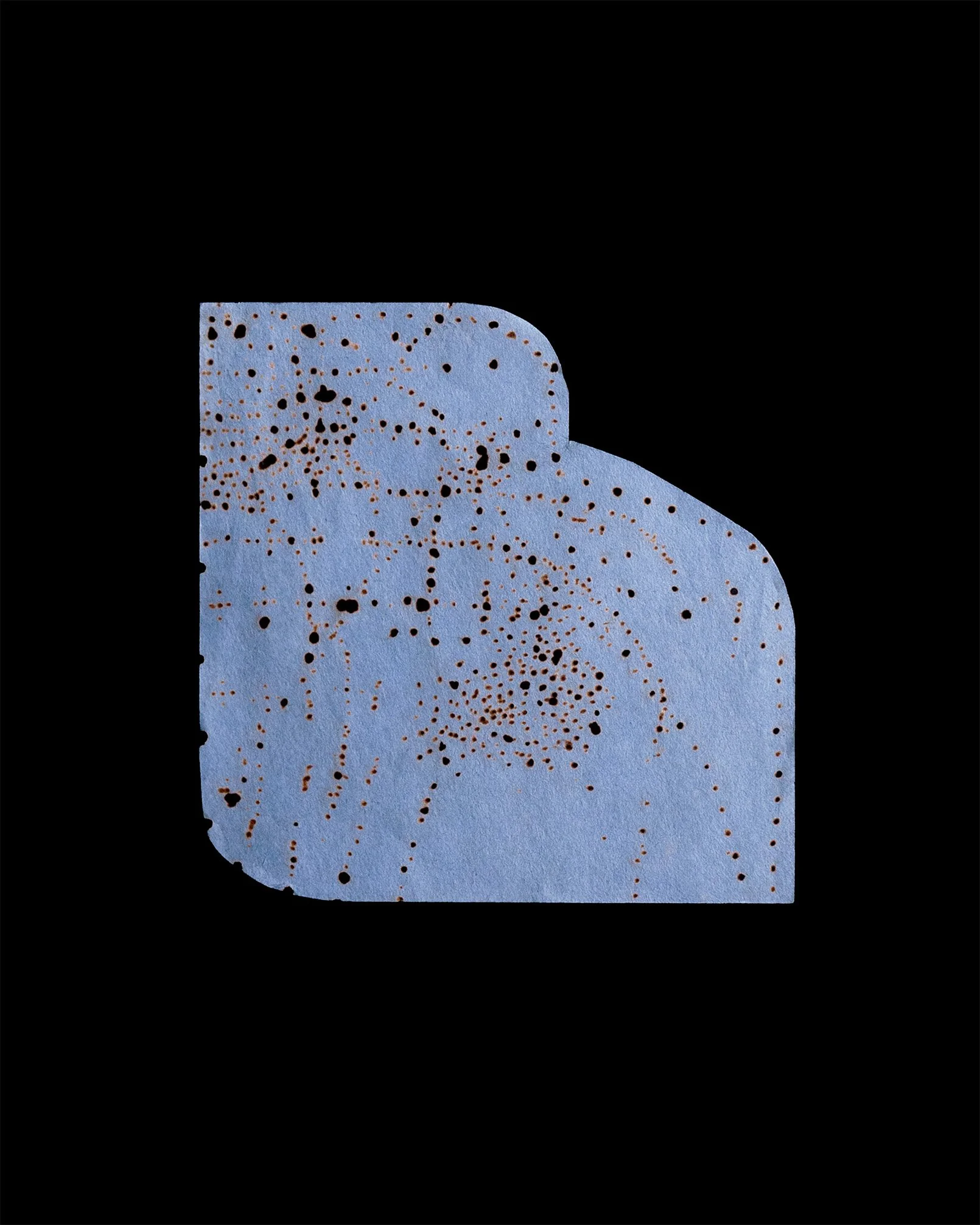 Petal No. 1