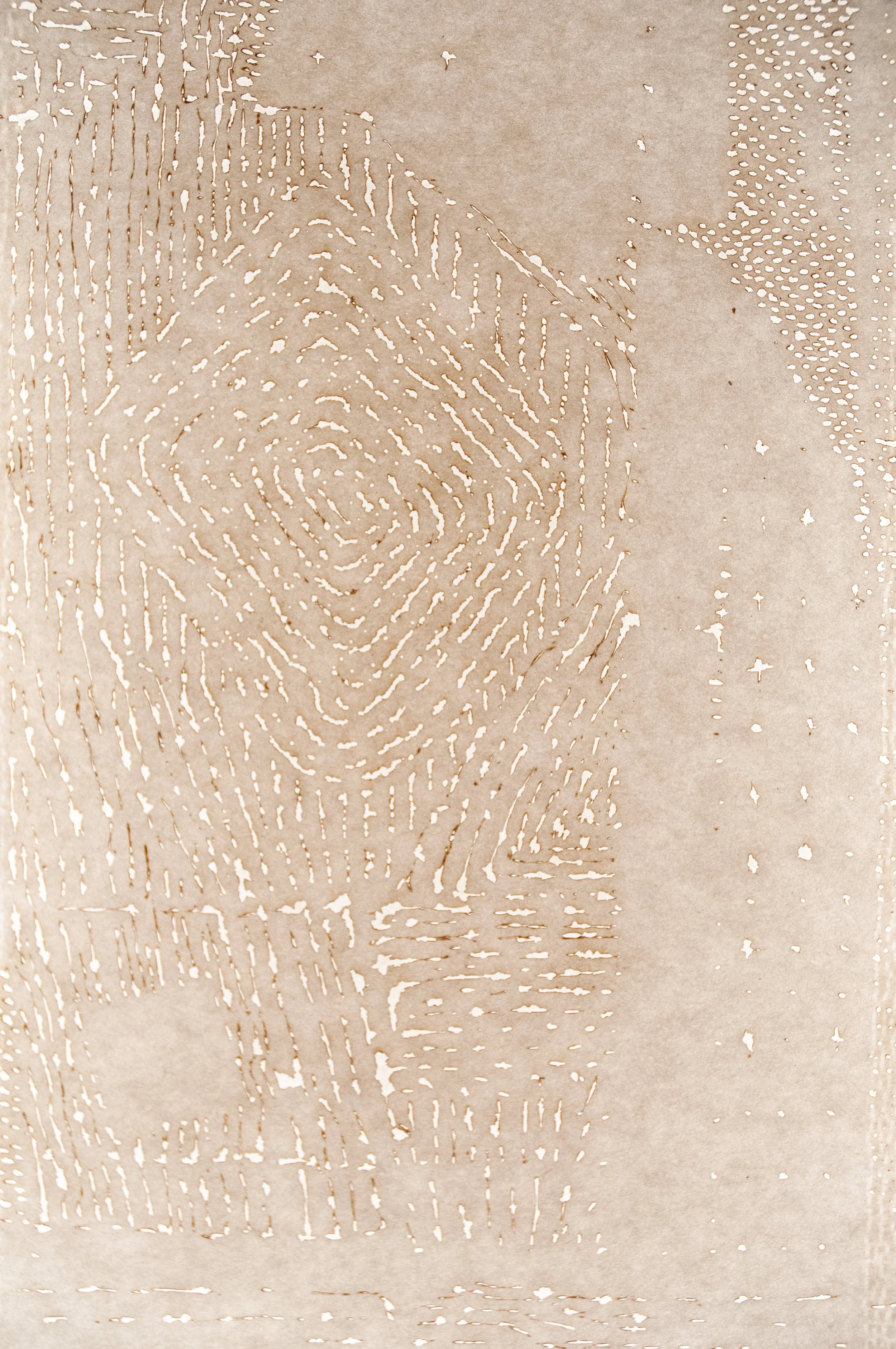 DSC_4808.jpg