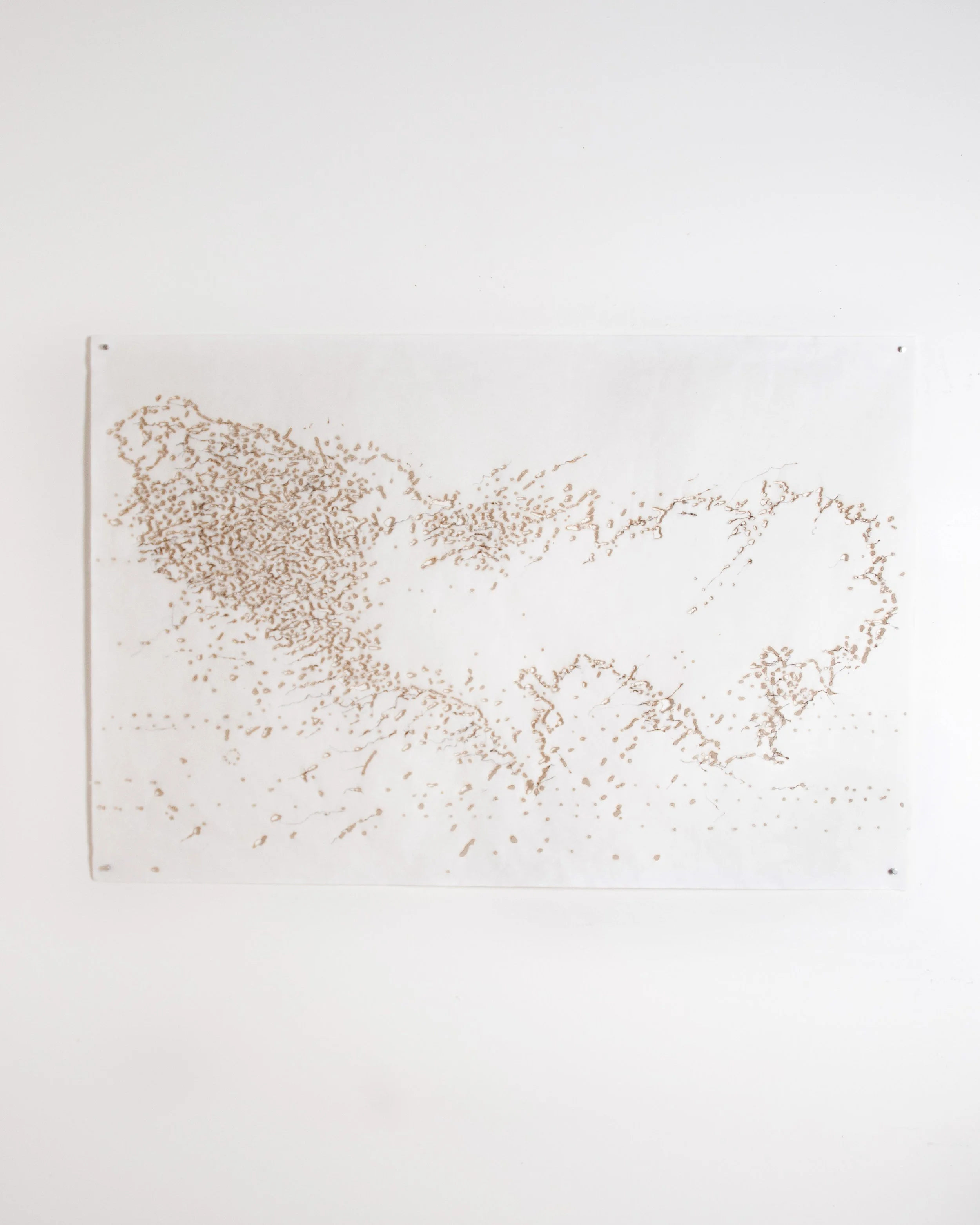 Tokyo Prefecture

Incense on Kozo Paper
36 in x 24 in
Fall 2018

University of Pennsylvania
Philadelphia, PA