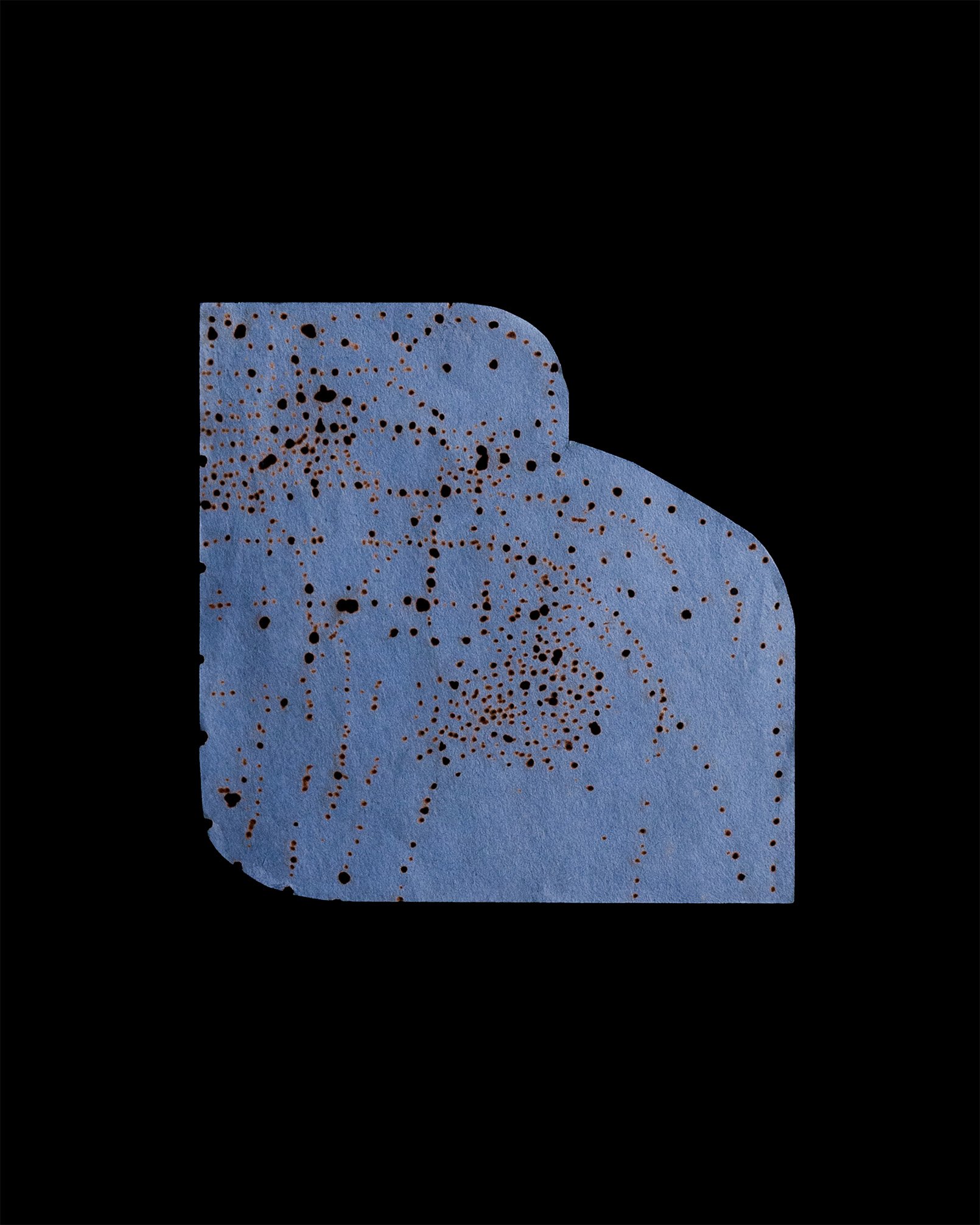 7a_Gerdes_TM_Petal1.jpg