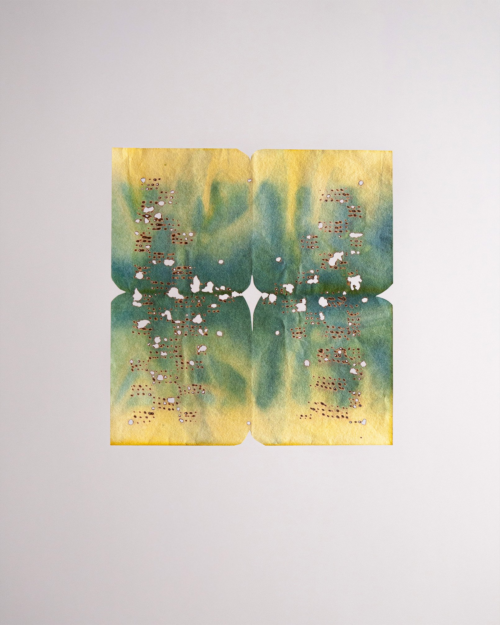 16b_Gerdes_TM_StoneButterfly.jpg