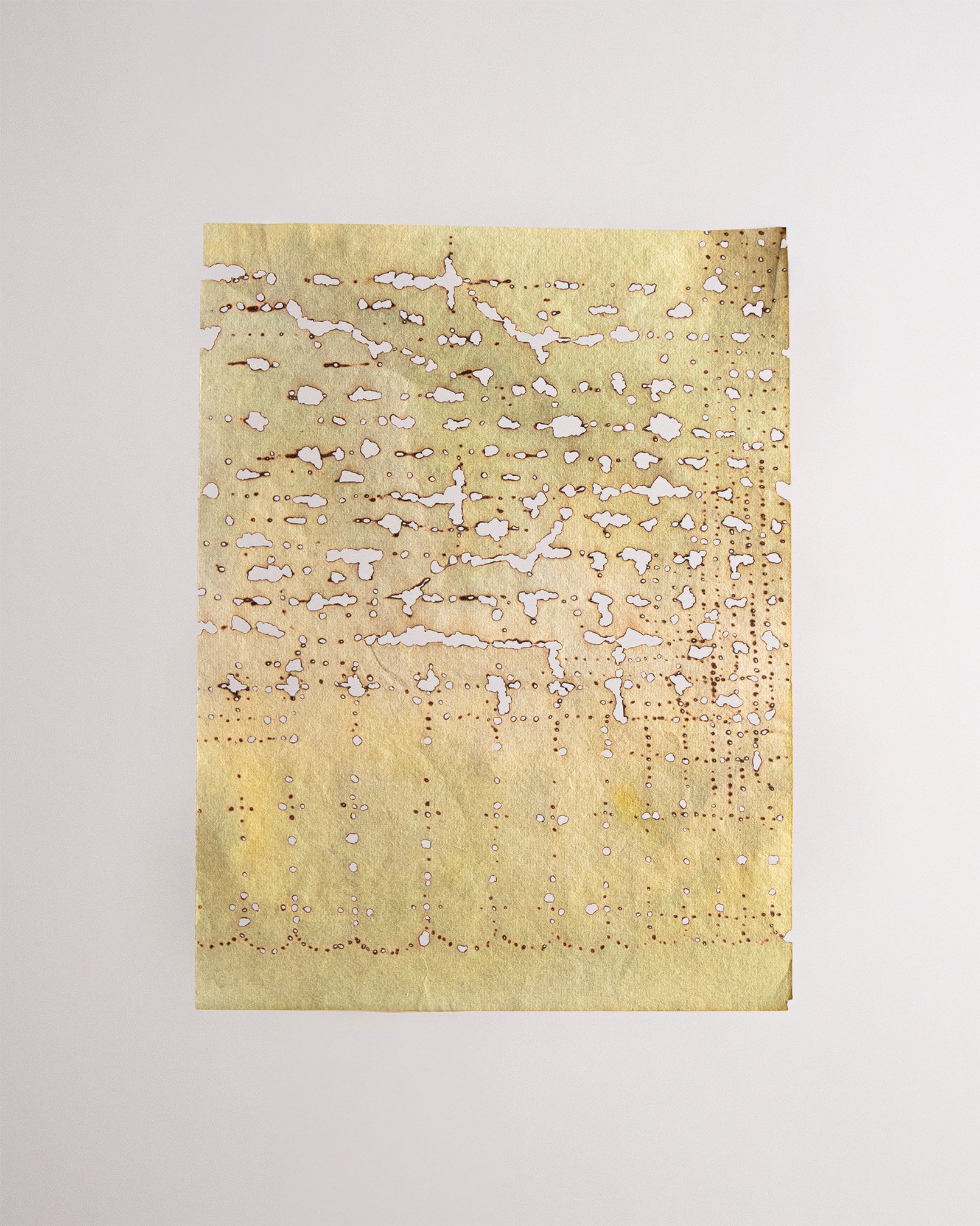 29b_Gerdes_TM_Shimmer.jpg