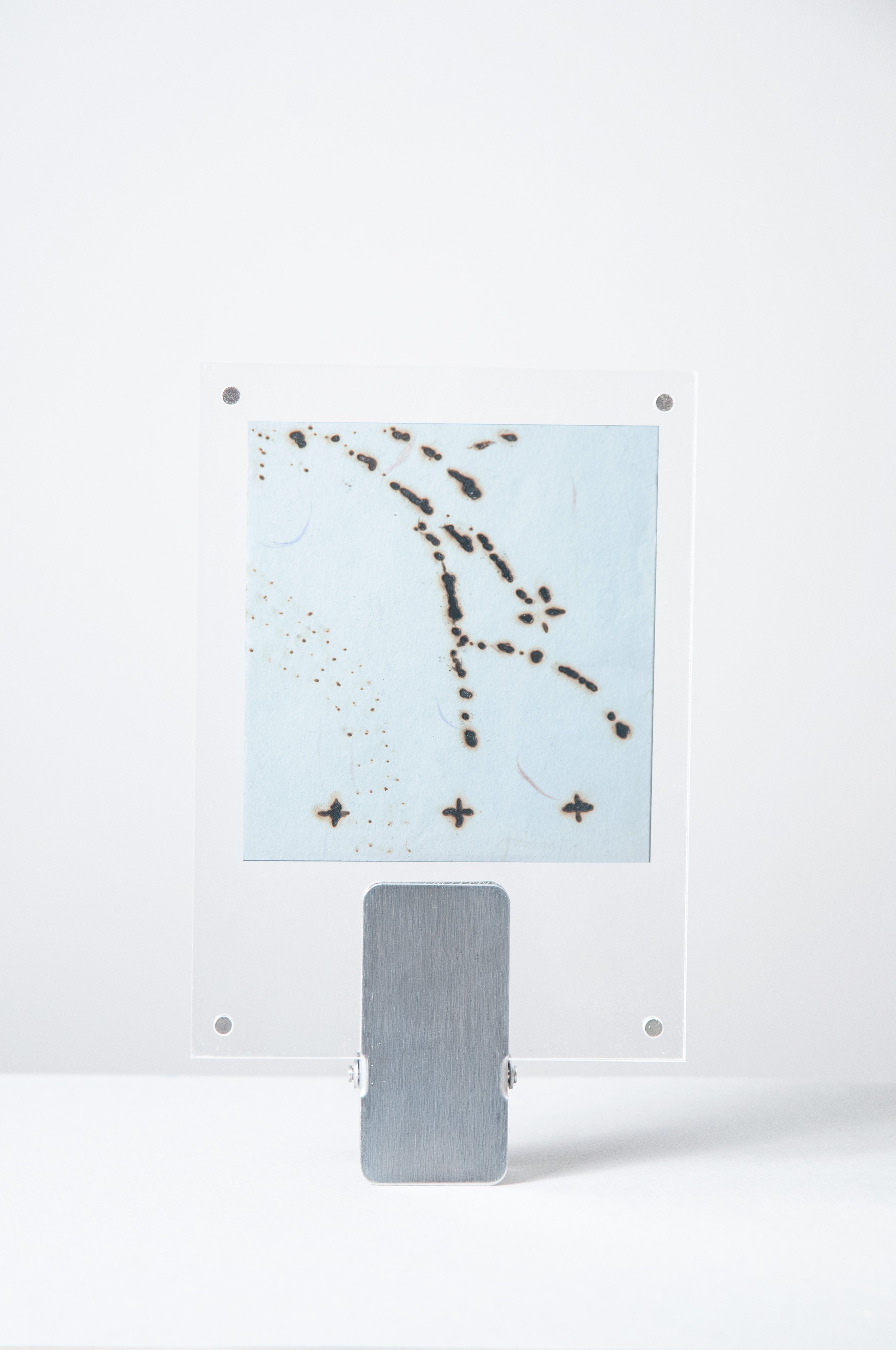 5c_Gerdes_TM_PaleBlueKyoto.jpg