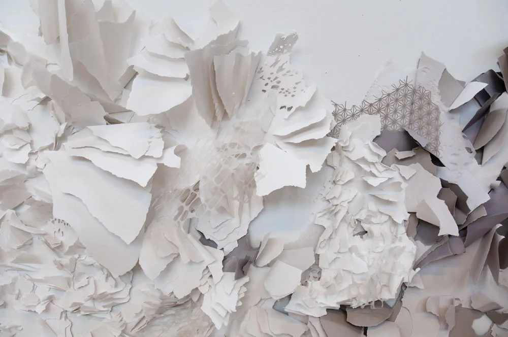 Excavations

Paper Installation 
40 ft x 15 ft
Spring 2013

Ezra and Cecile Zilkha Gallery
Middletown, CT