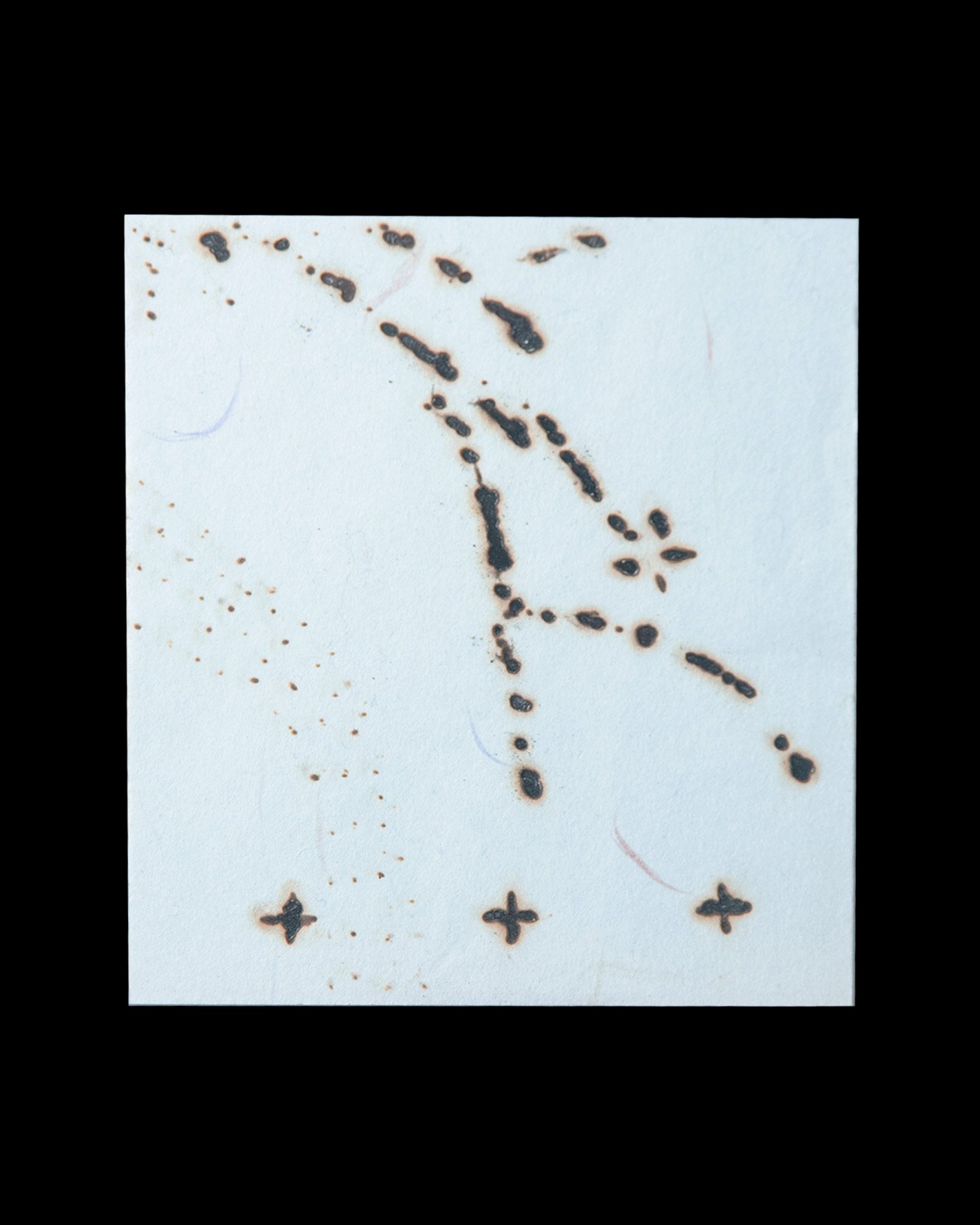 5b_Gerdes_TM_PaleBlueKyoto.jpg
