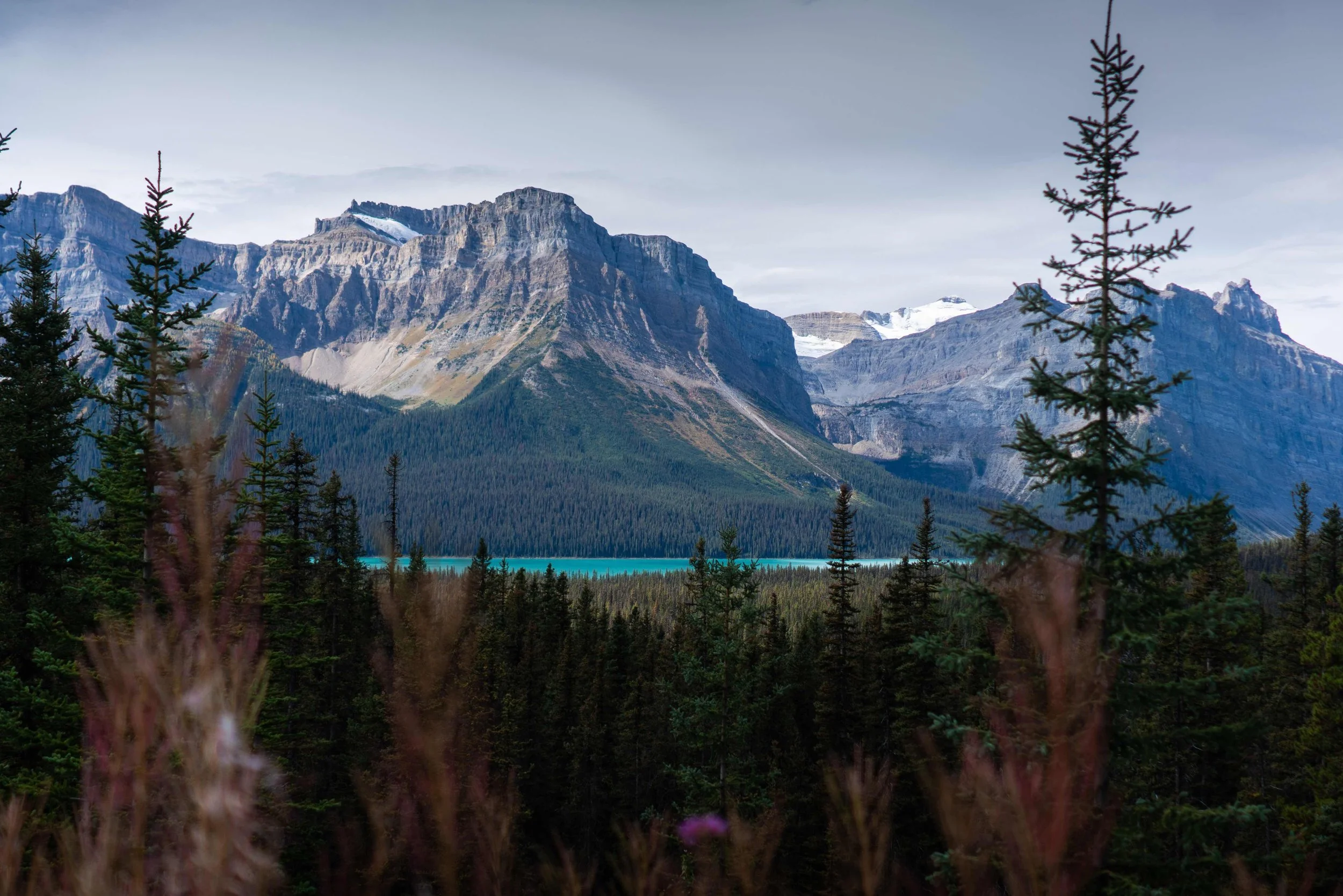 Hector Lake Canada.jpeg