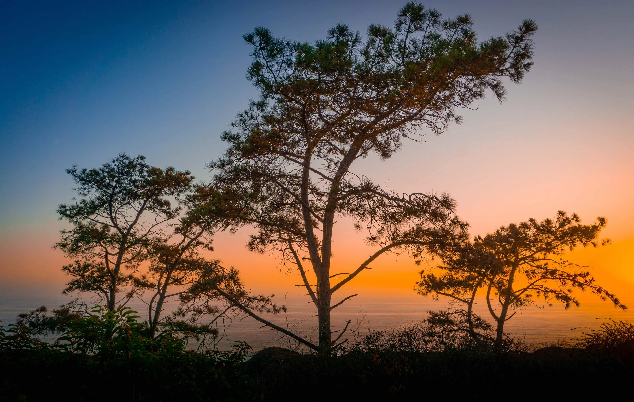 Torrey Pines Sunset 2.jpeg