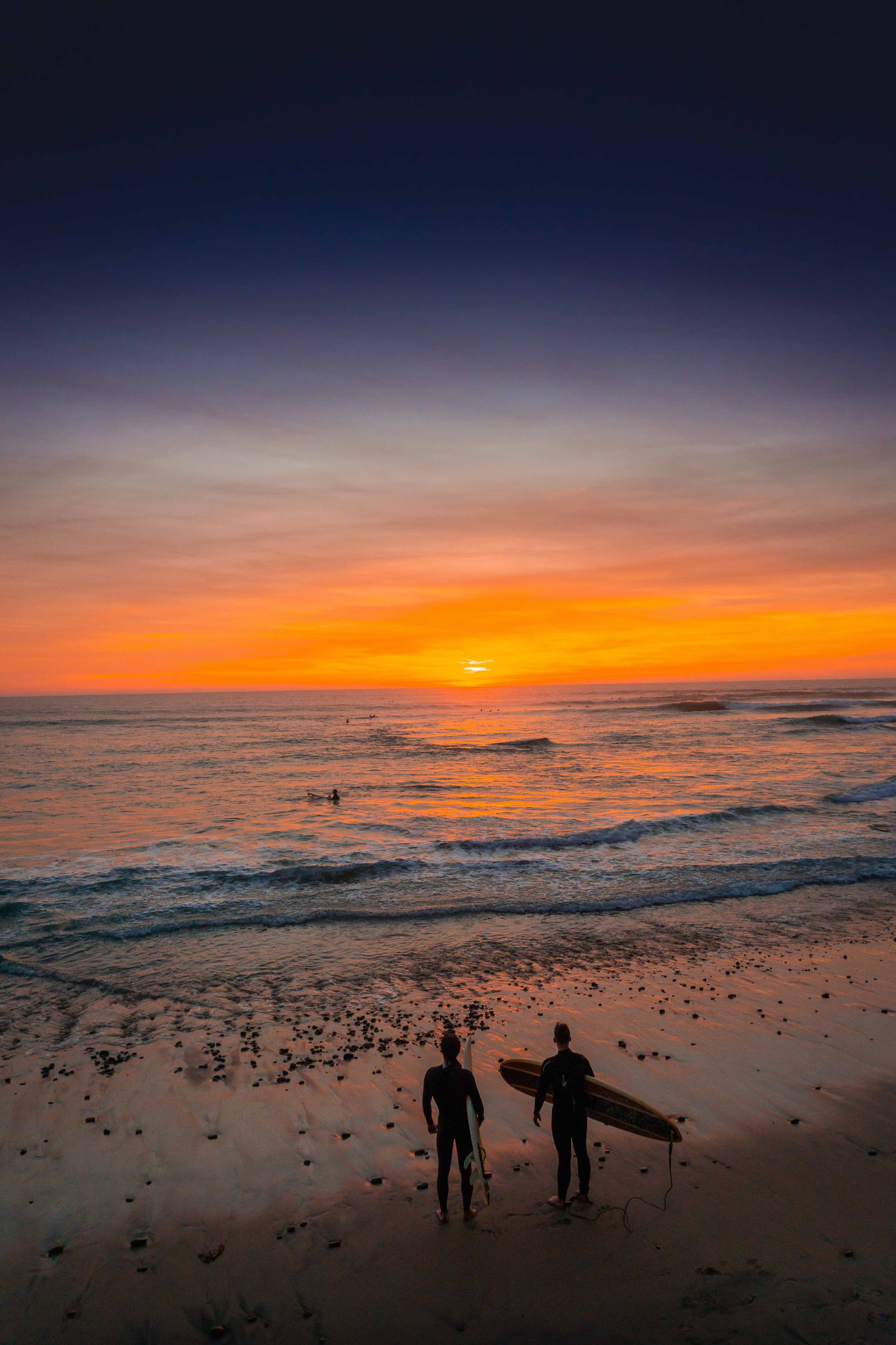 Swamis Surf Buds.jpeg