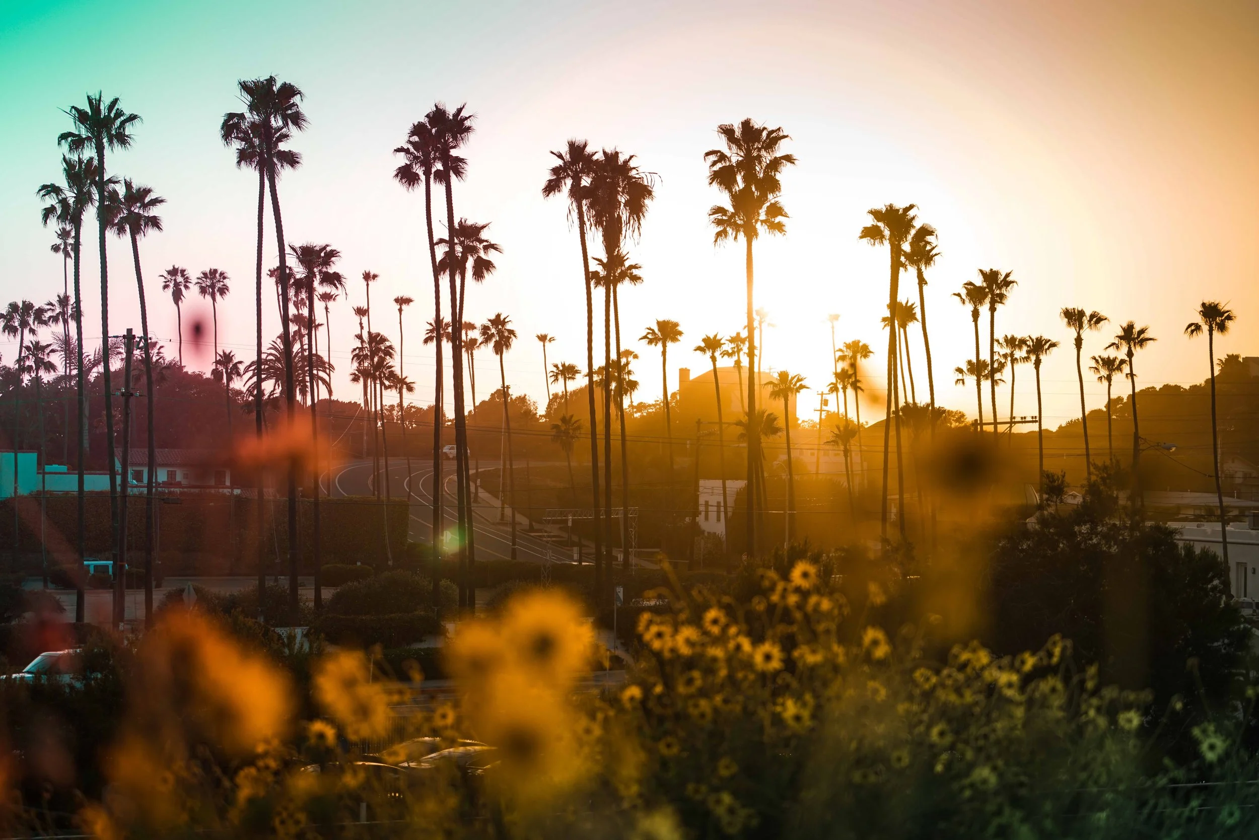 Encinitas Sunset.jpeg