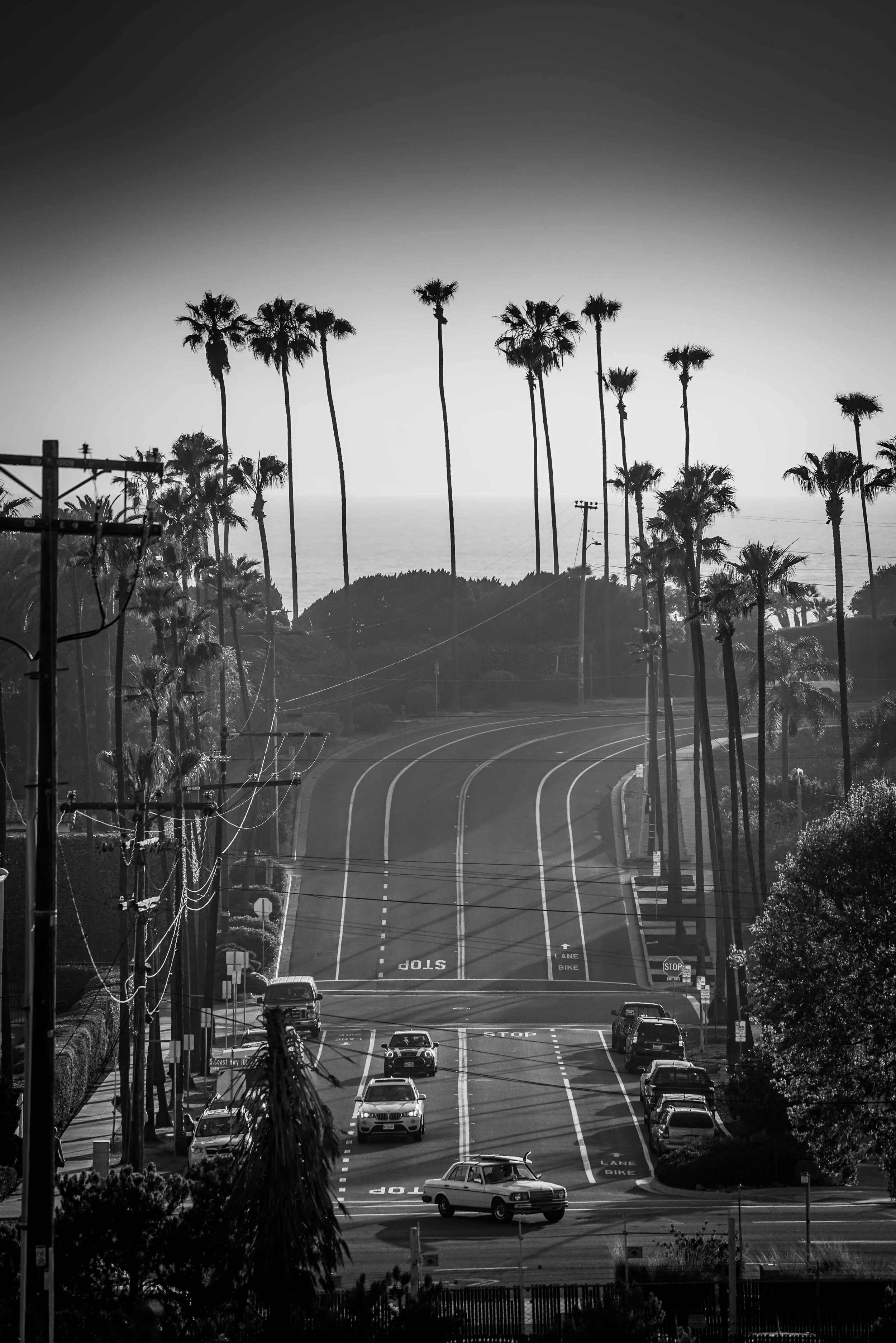 Encinitas Black And White.jpeg
