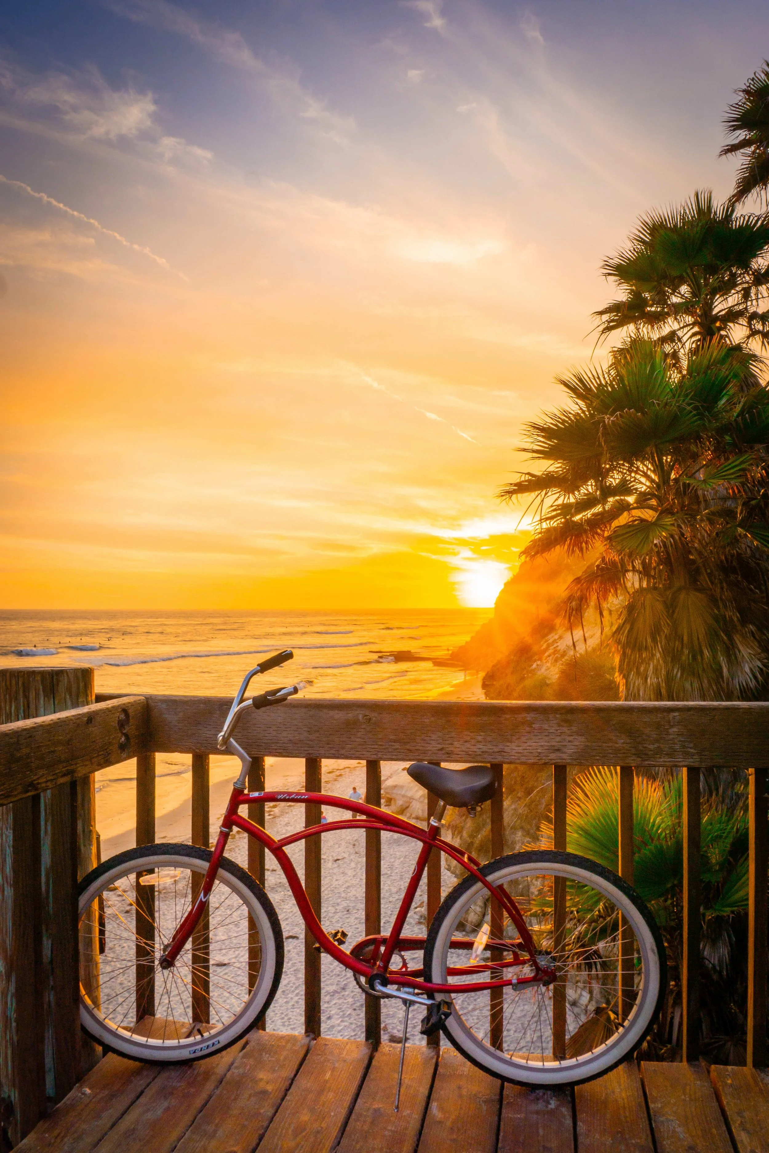 Swami's Beach Cruiser