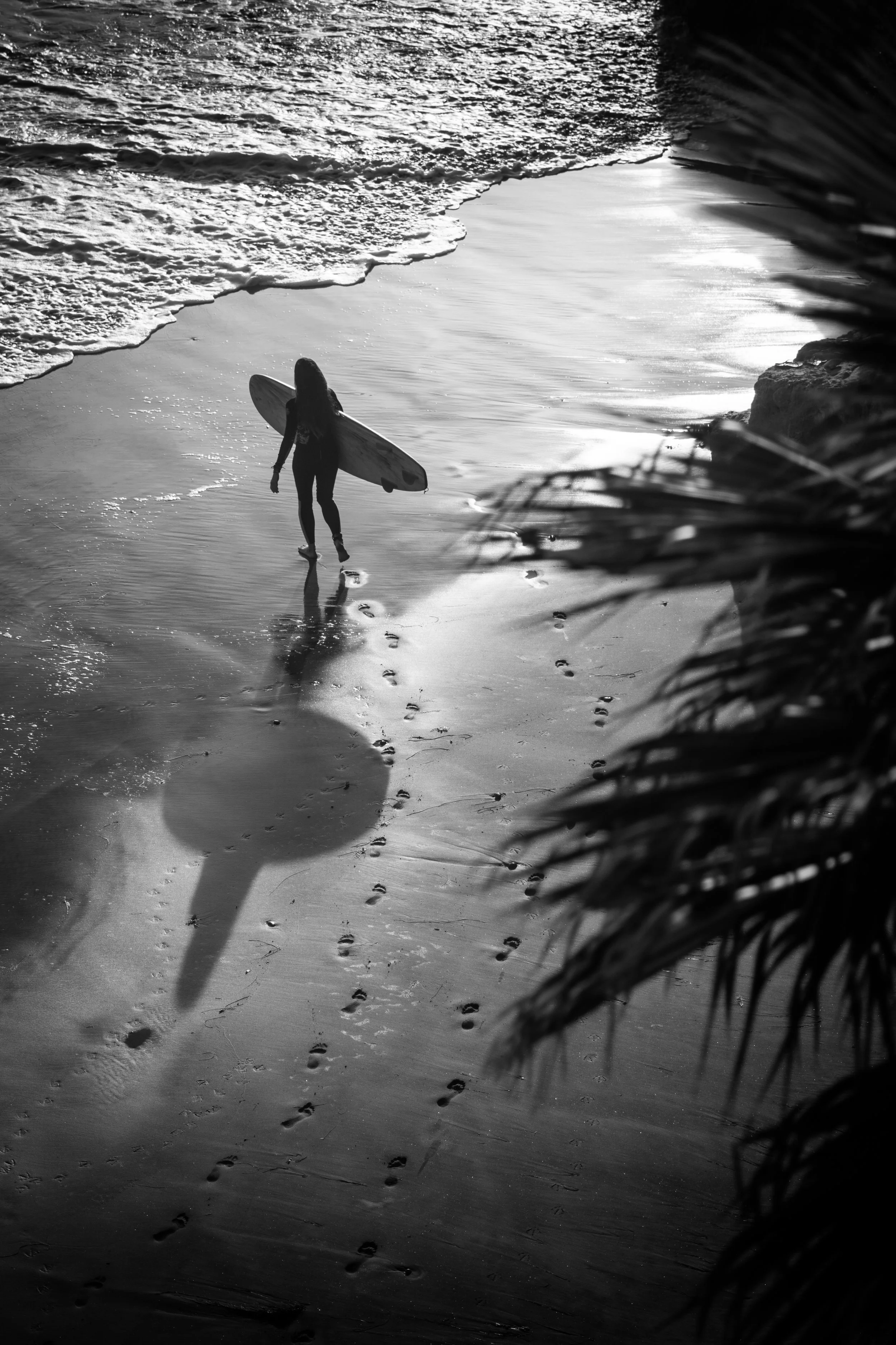 Sufer Girl Black And White.jpg