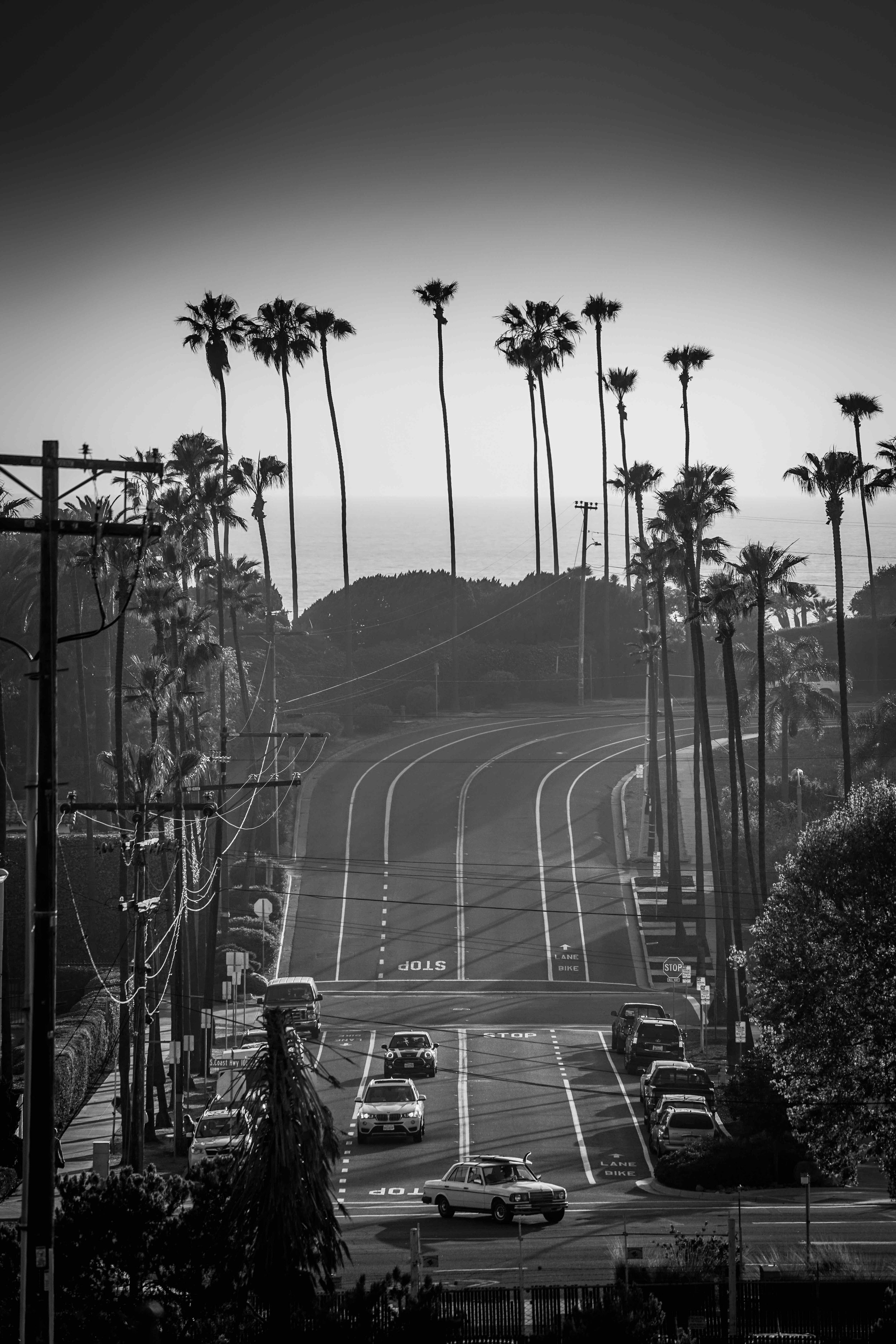 Encinitas Black And White.jpeg